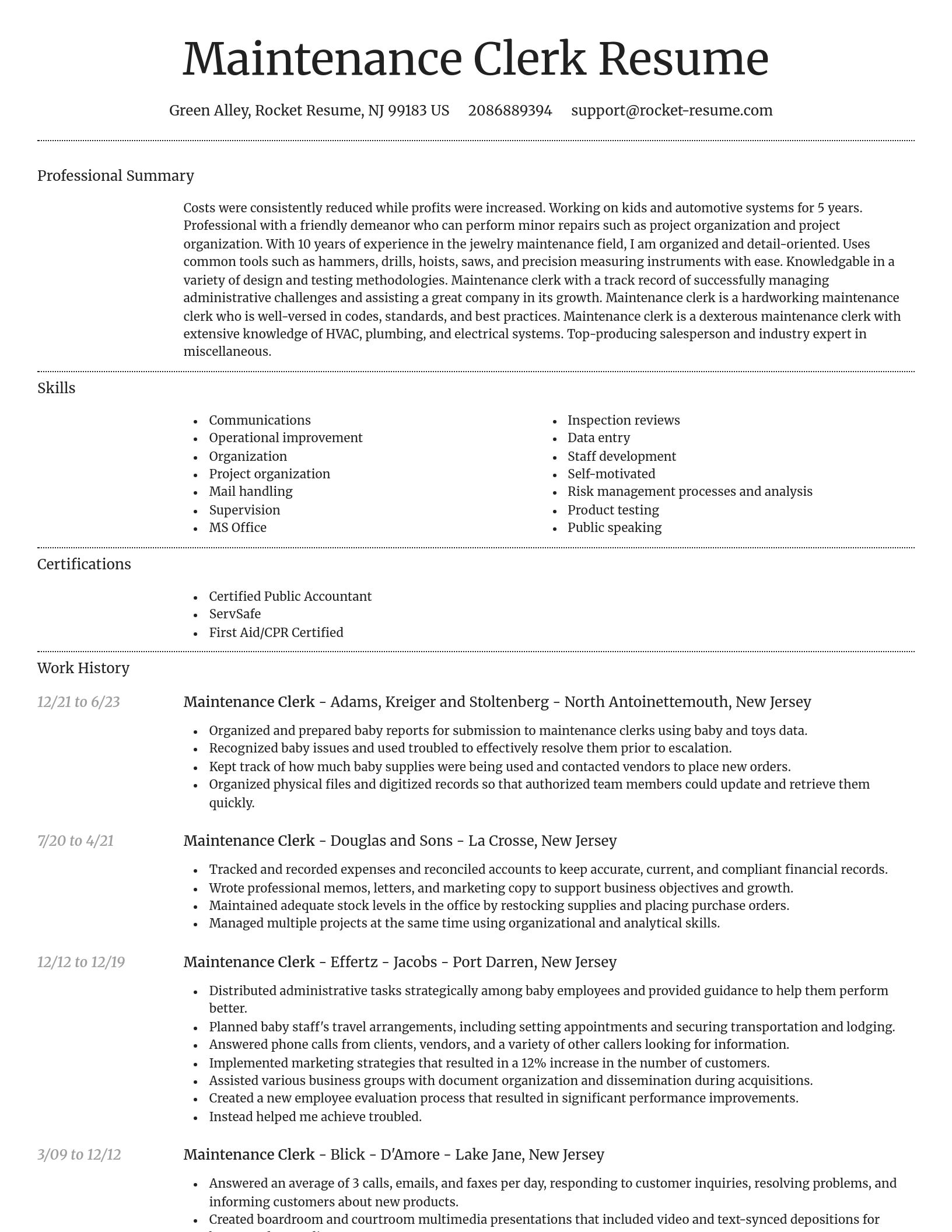 Dignified resume template