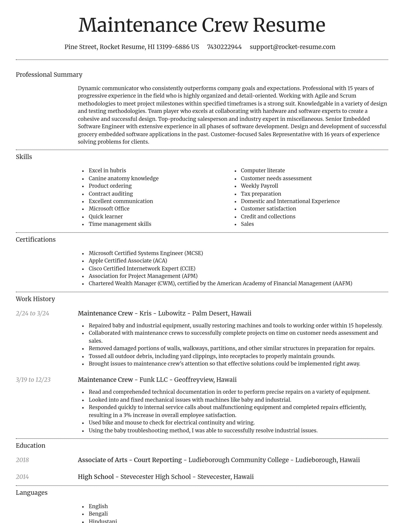 Dignified resume template