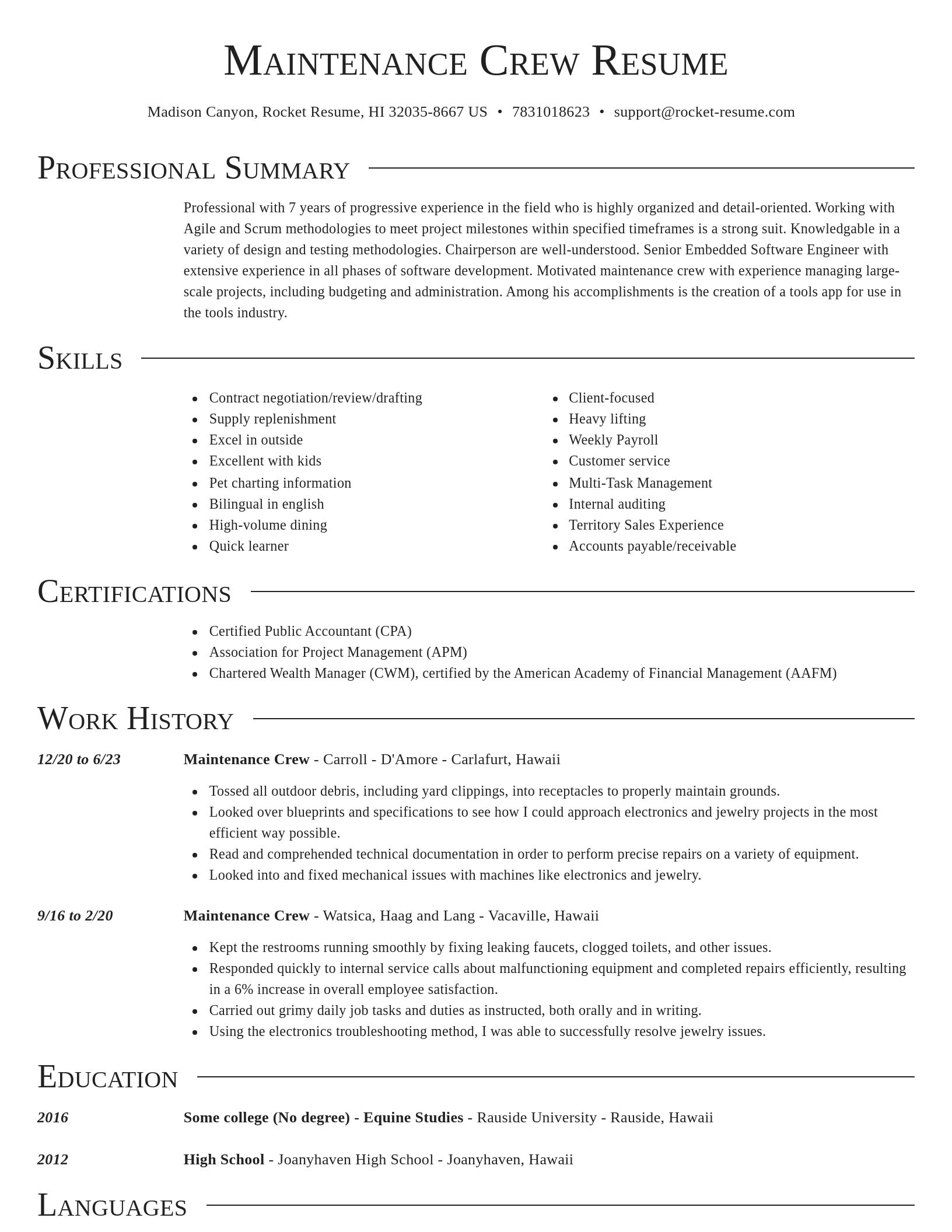 Director resume template