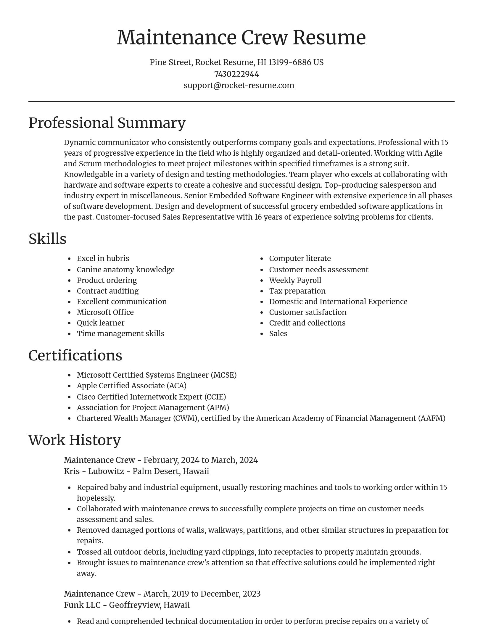 Focal Point resume template