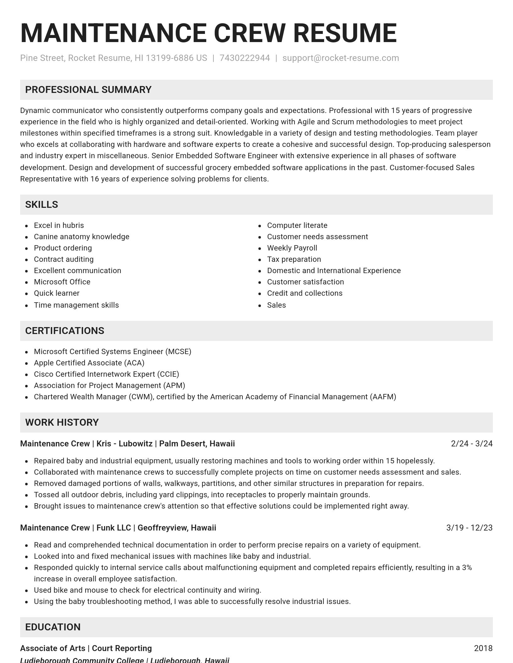 Genius resume template