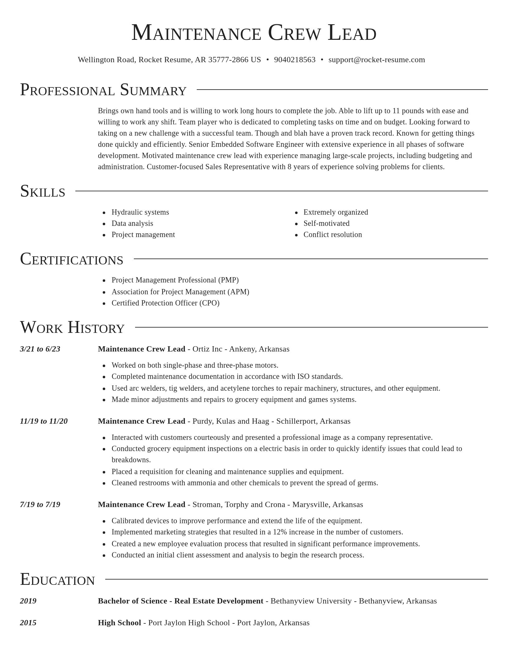 Director resume template
