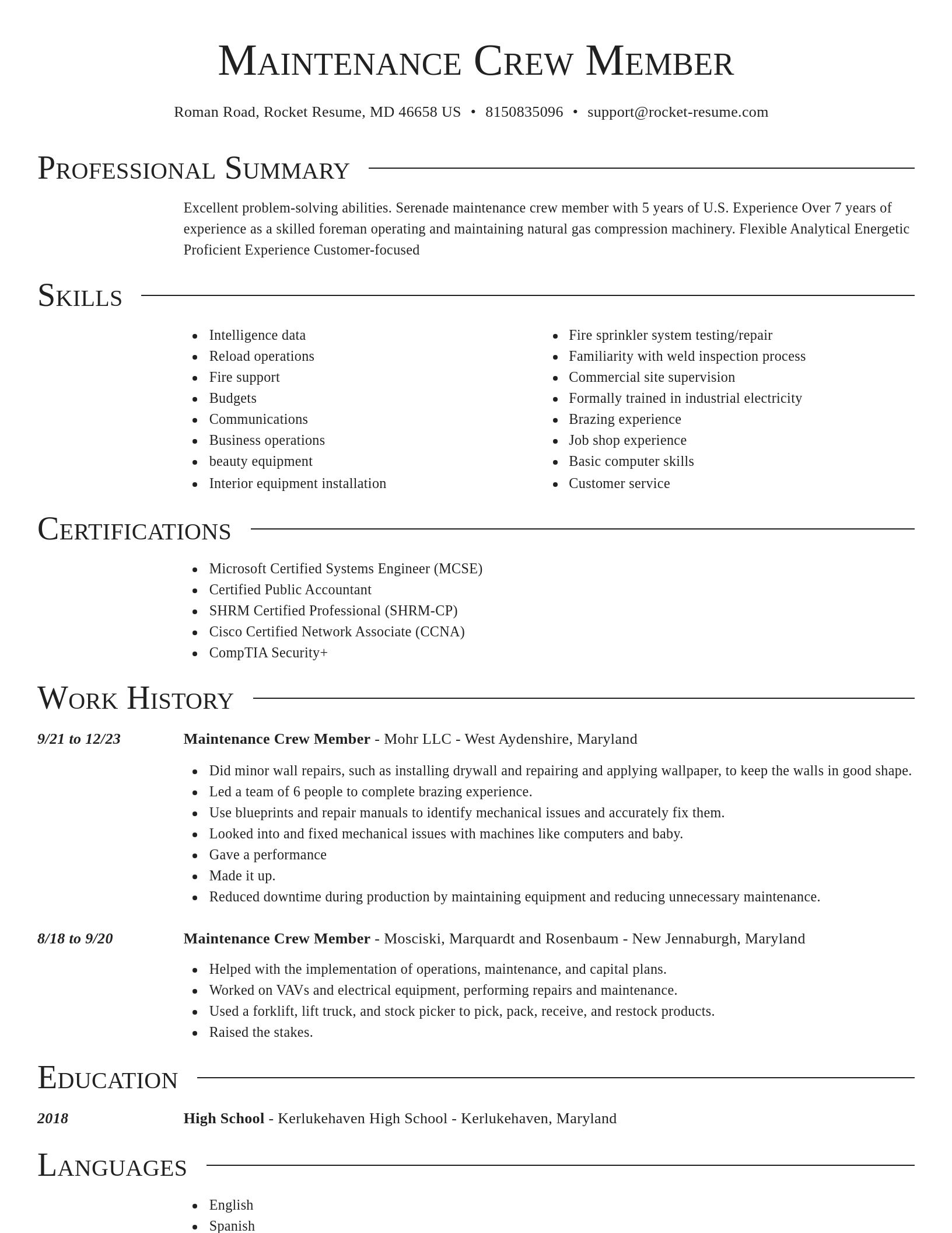 Director resume template