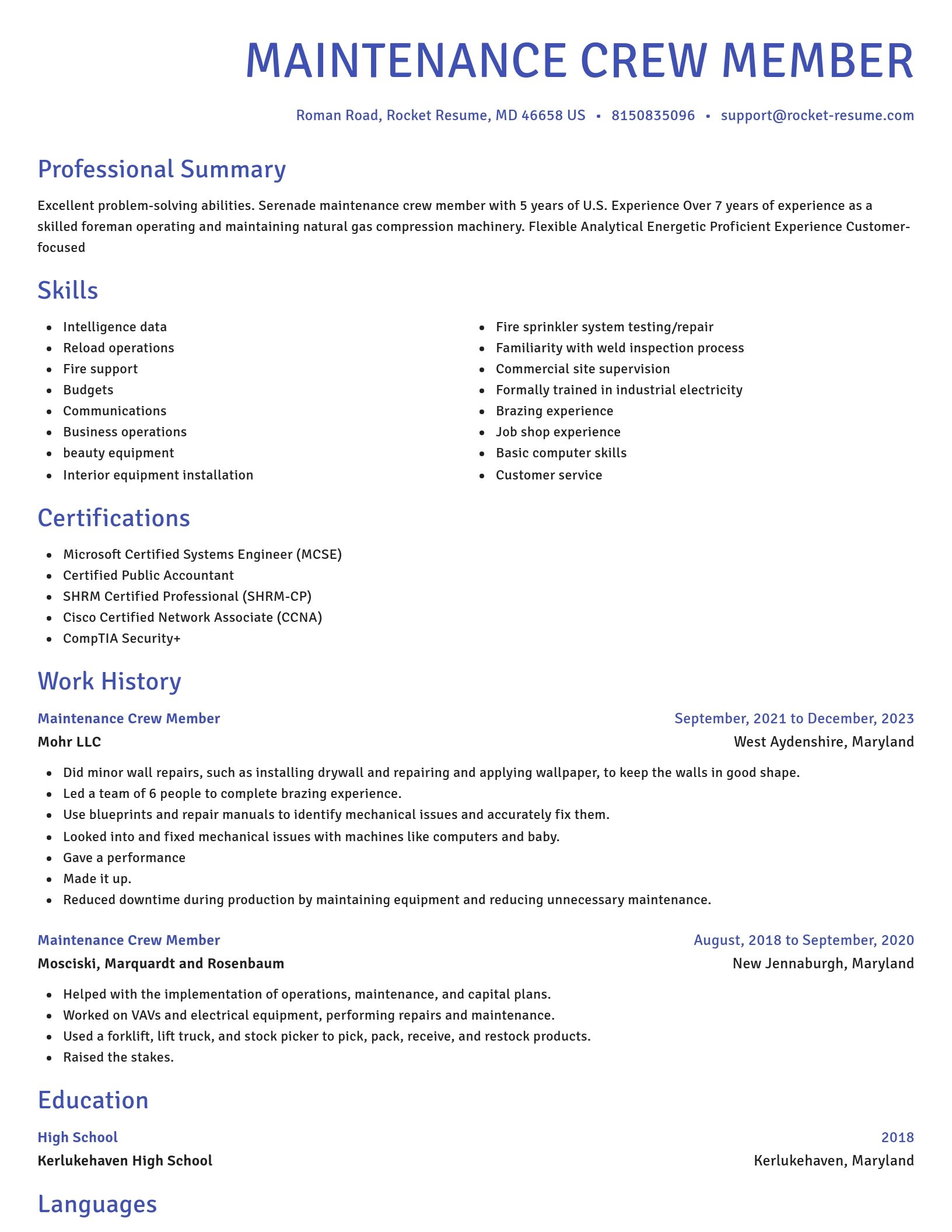 Novel resume template