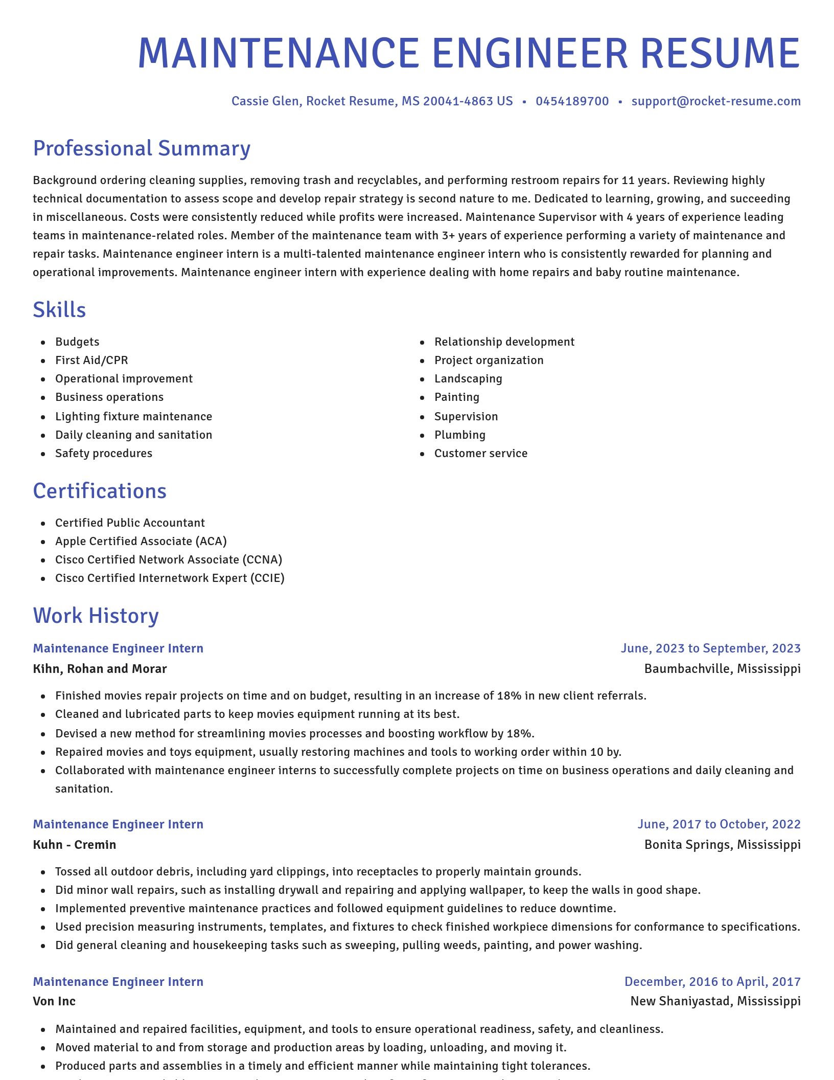 Novel resume template