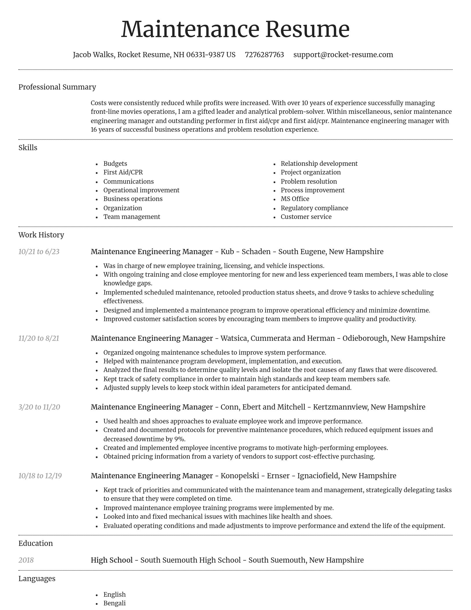 Dignified resume template