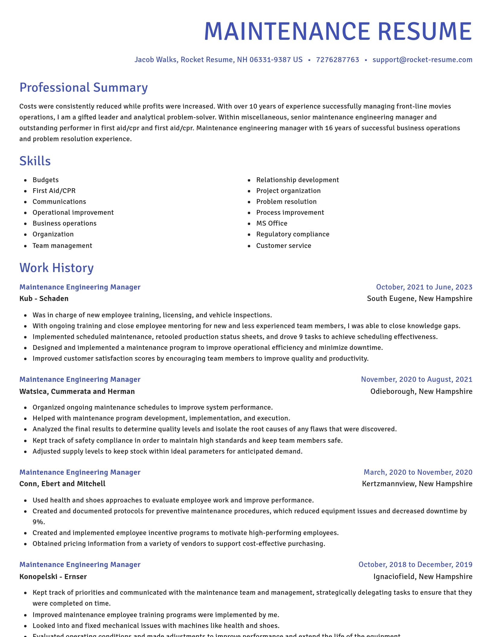 Novel resume template