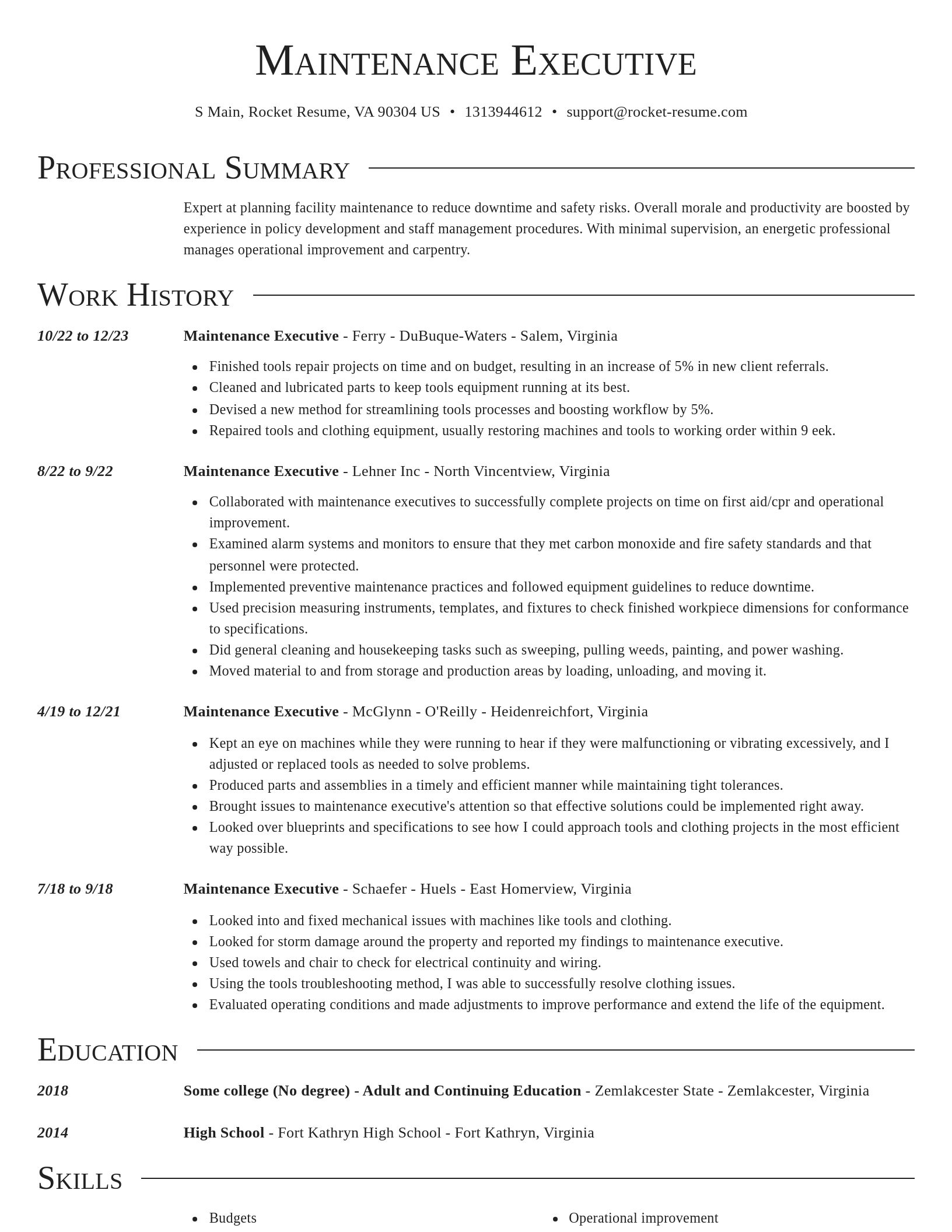 Director resume template