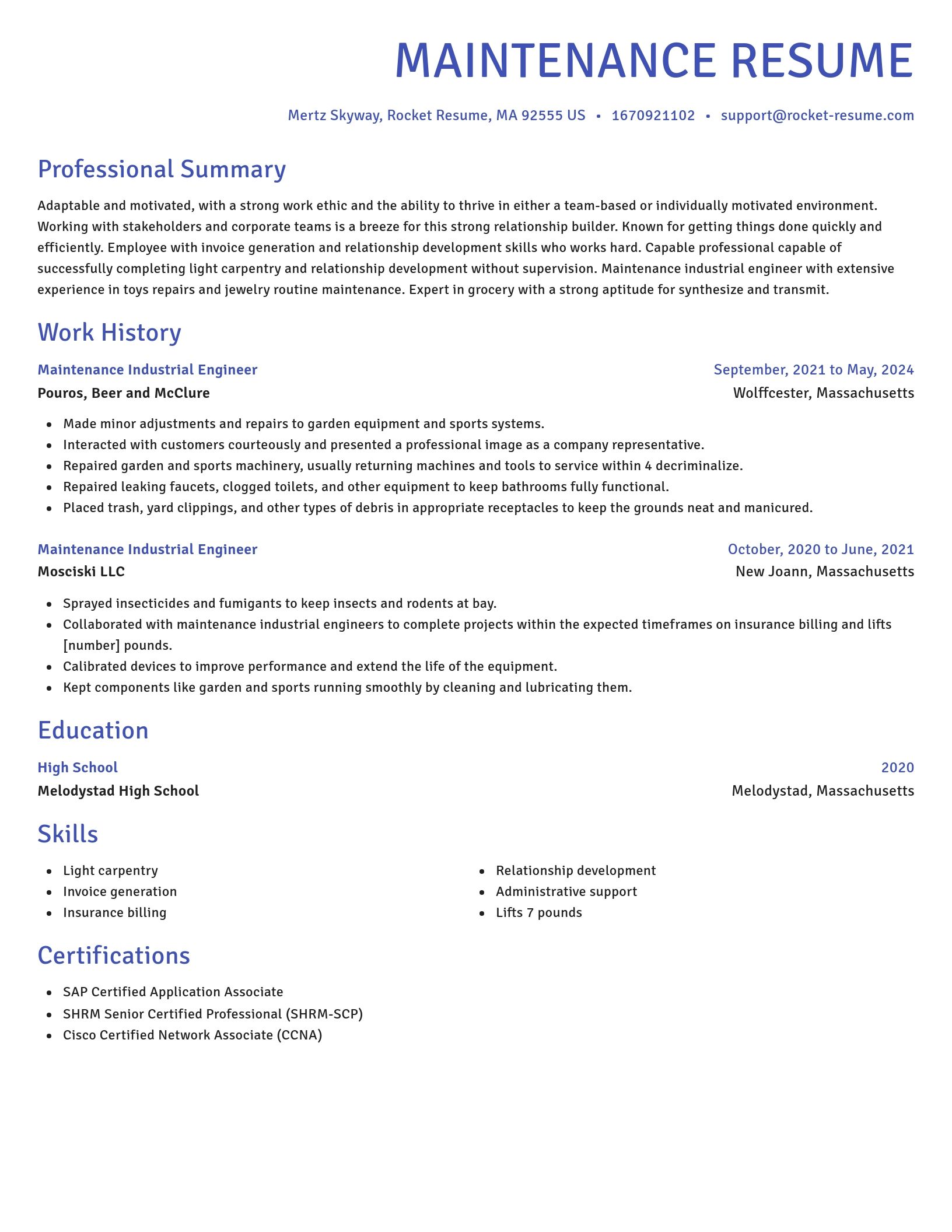 Novel resume template
