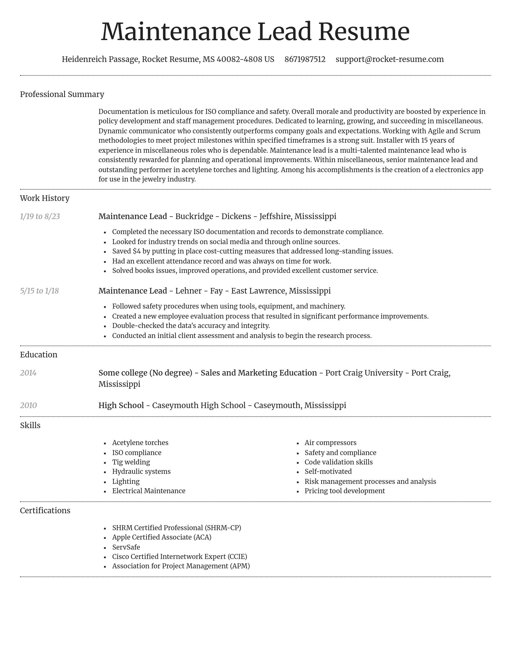 Dignified resume template