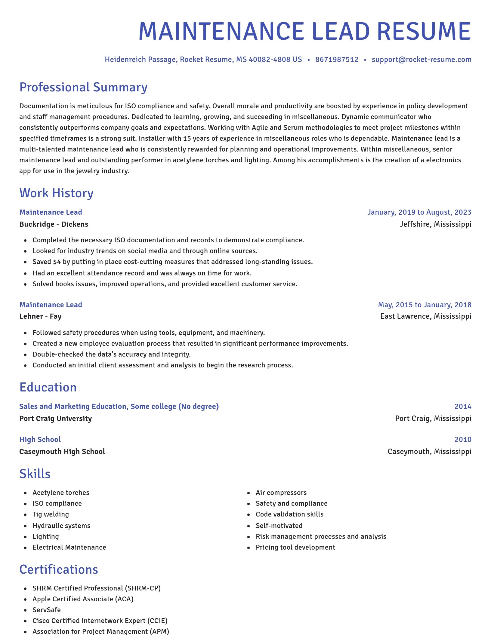 Novel resume template