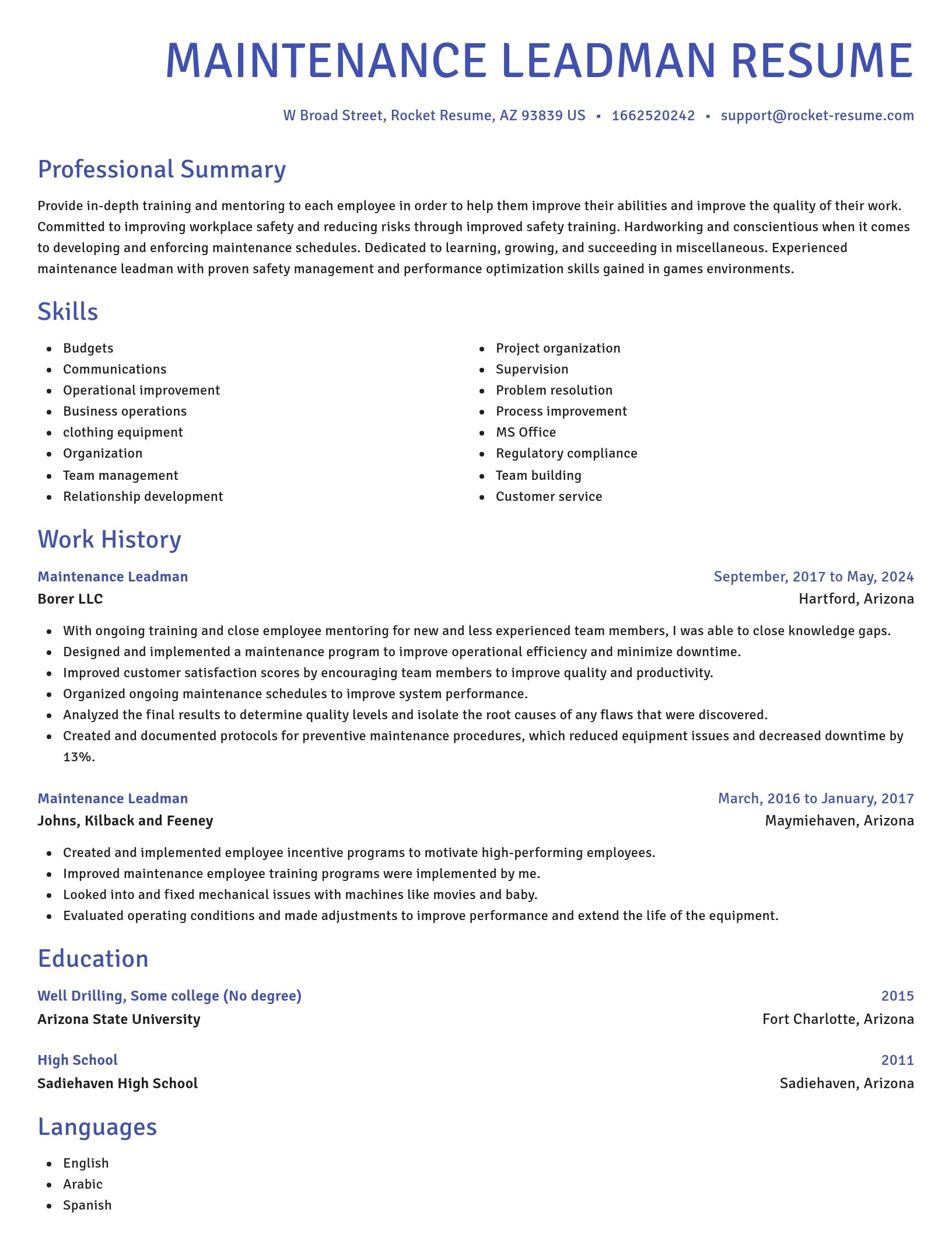 Novel resume template