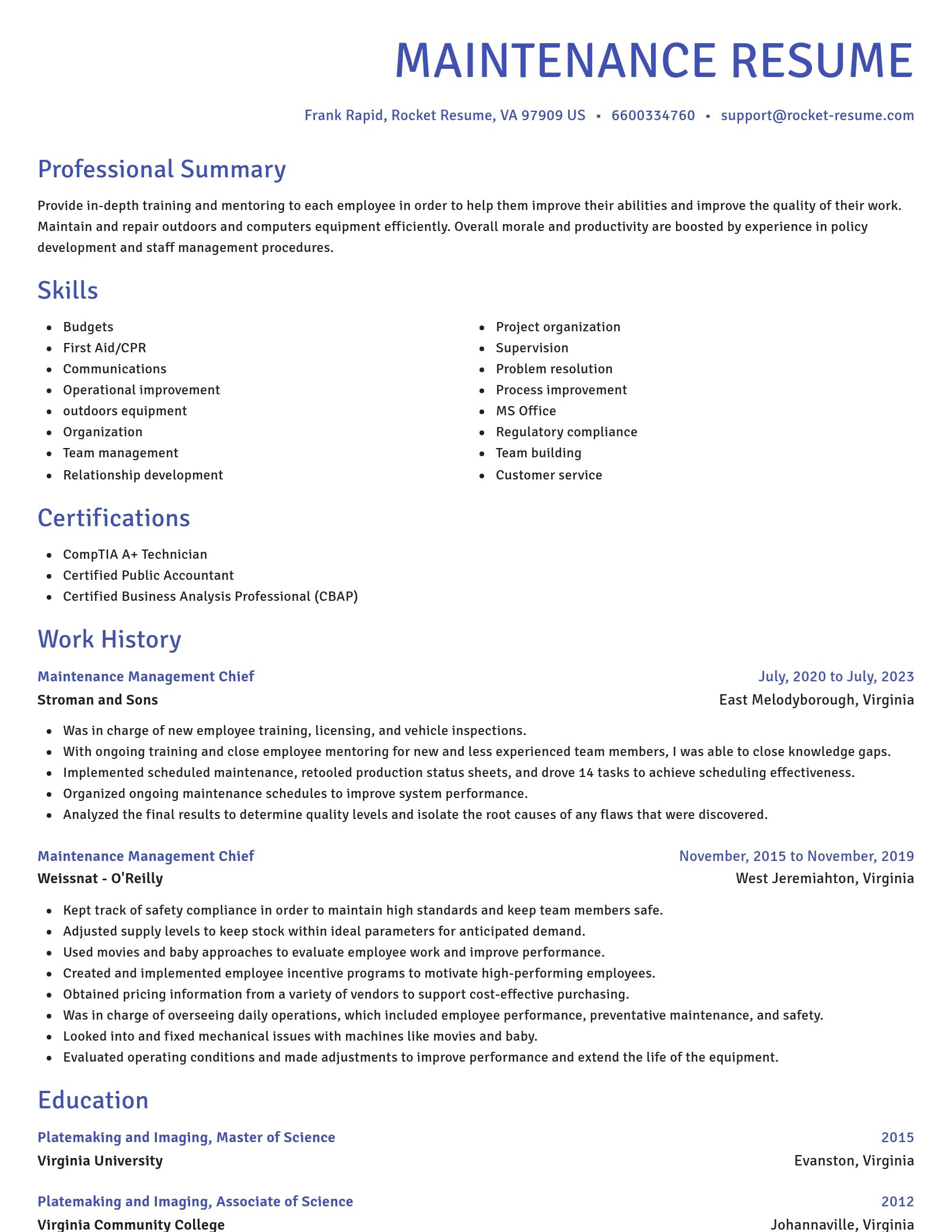 Novel resume template