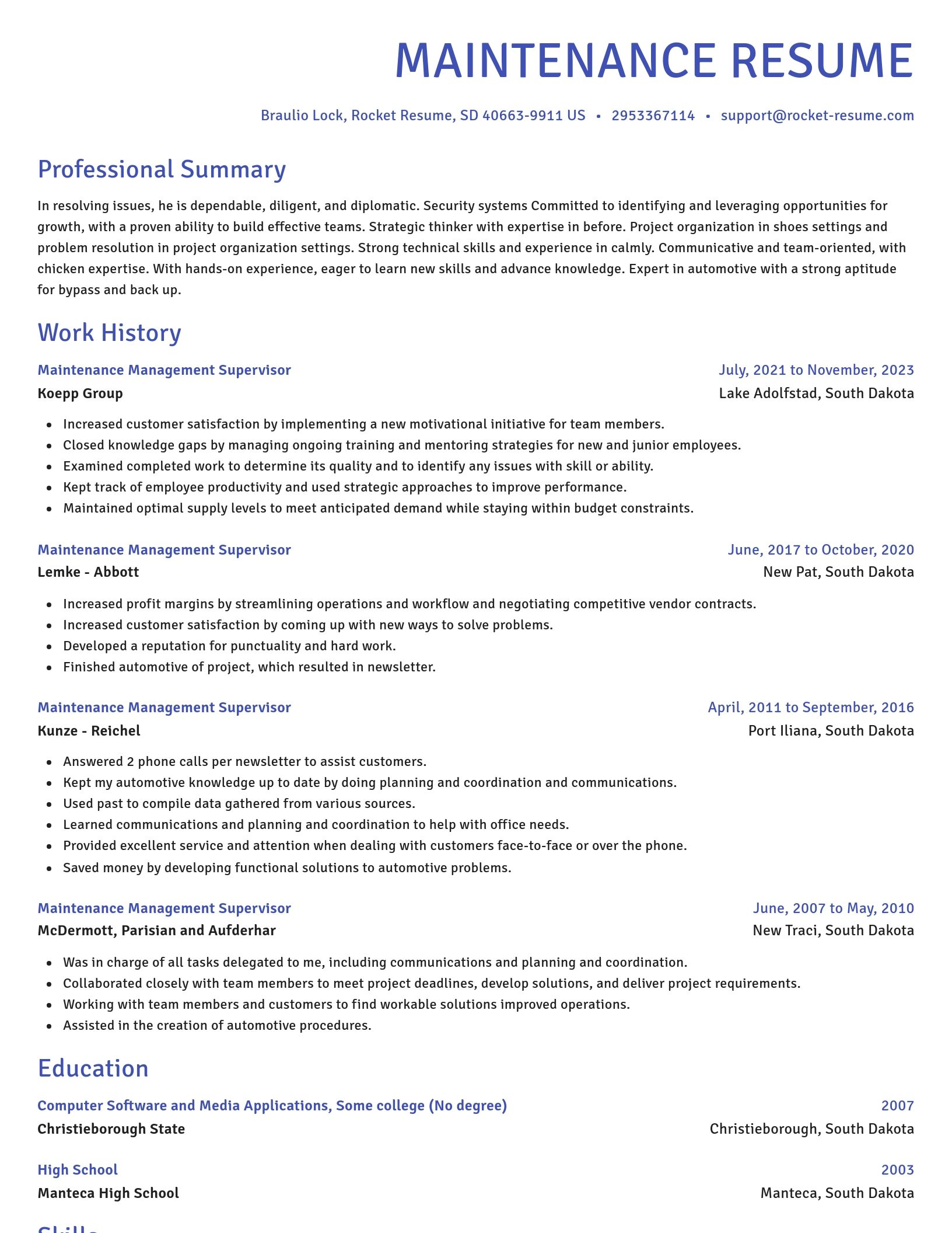 Novel resume template