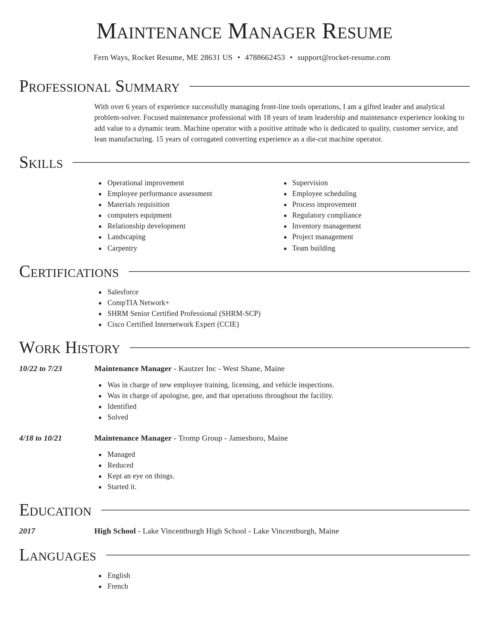 Director resume template