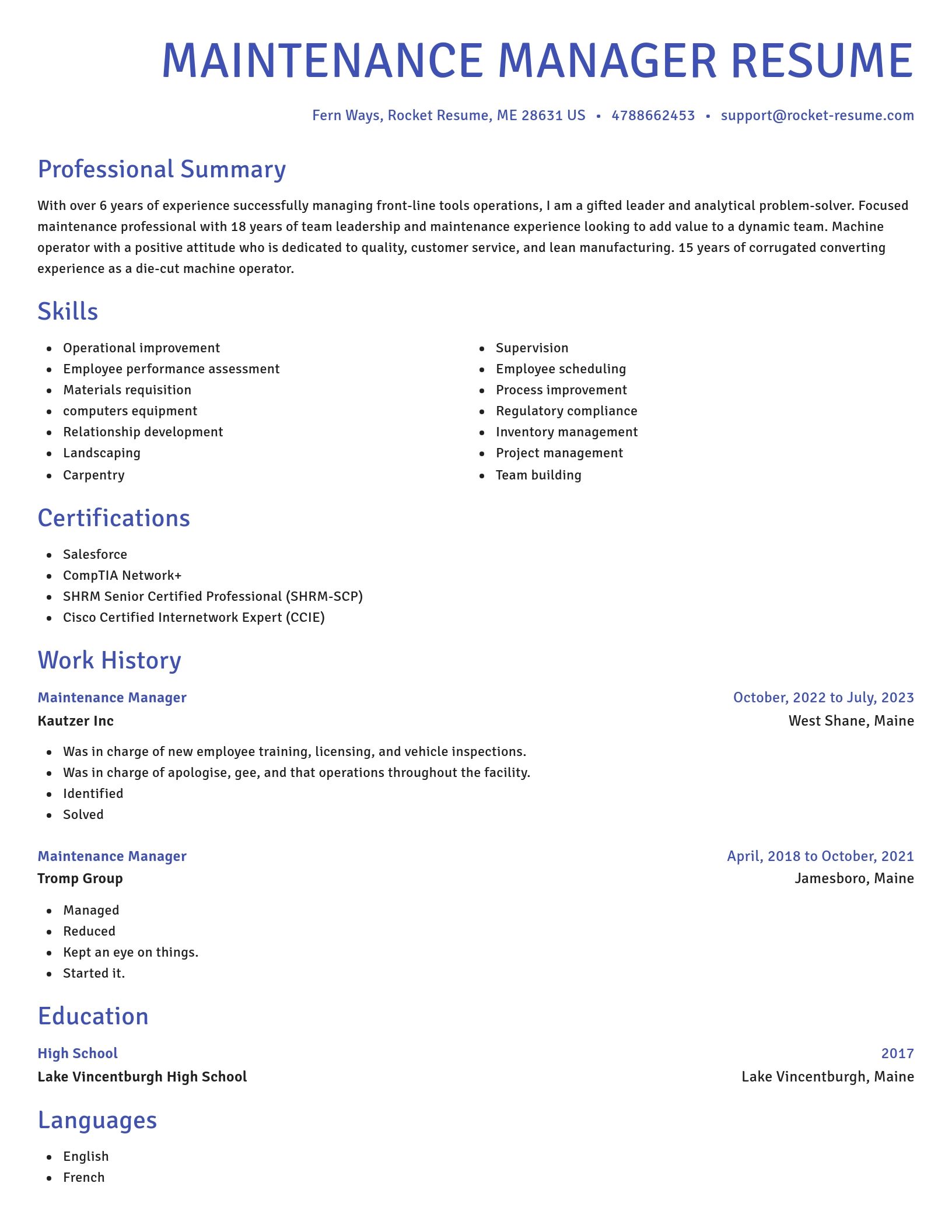Novel resume template