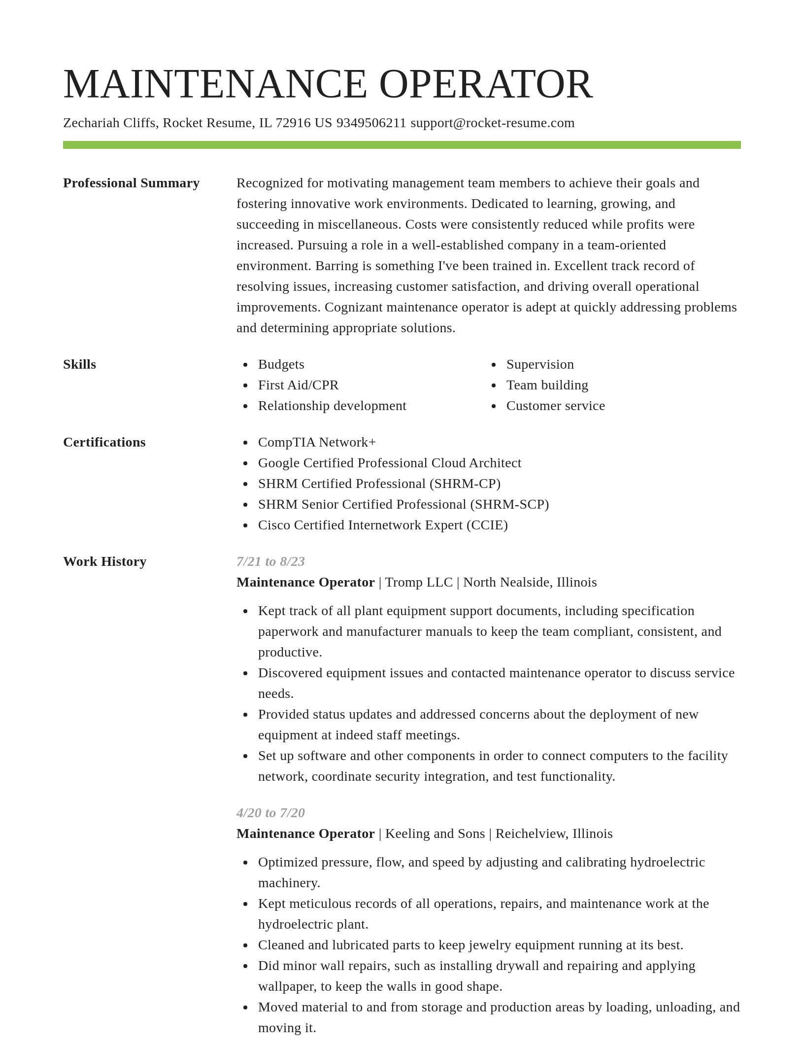 Smart resume template