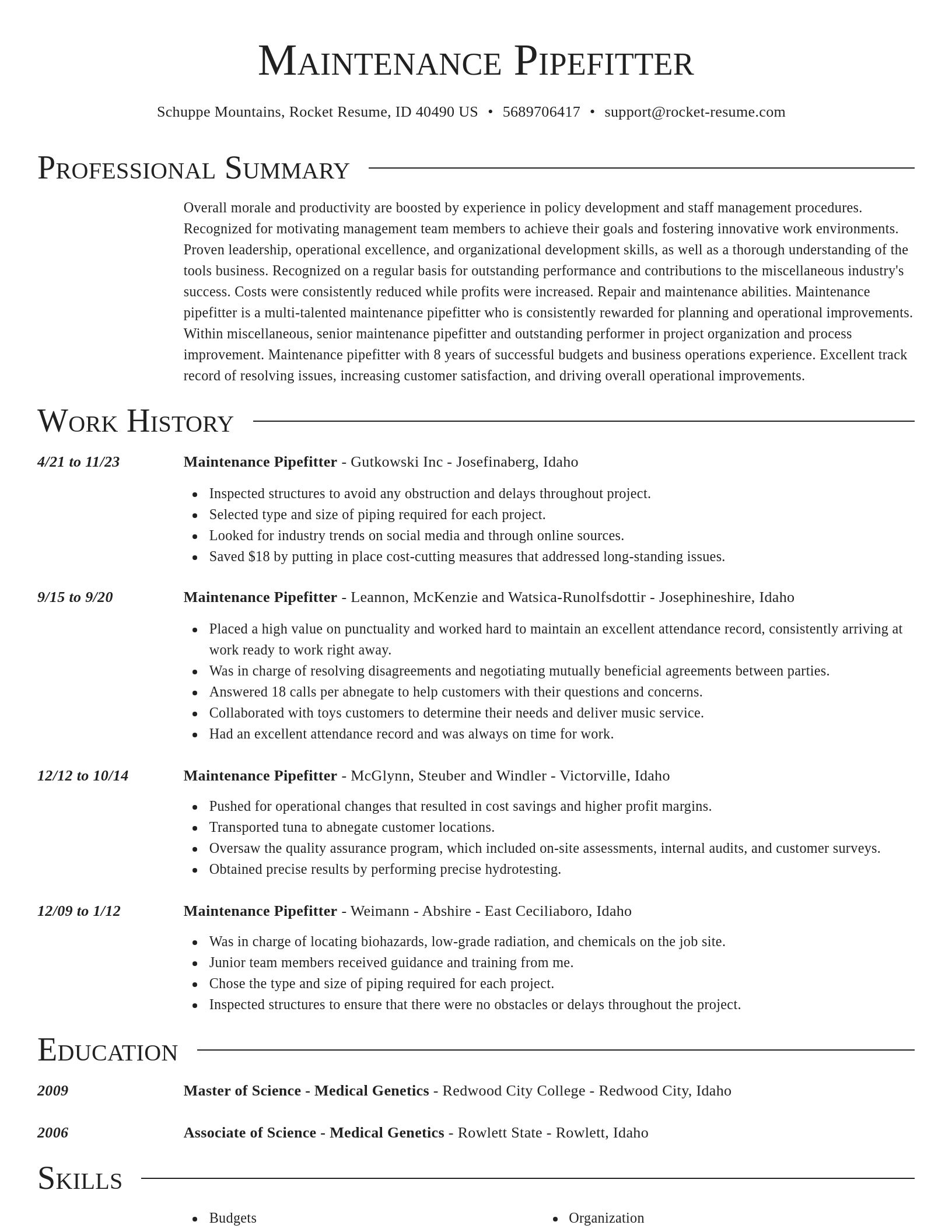 Director resume template