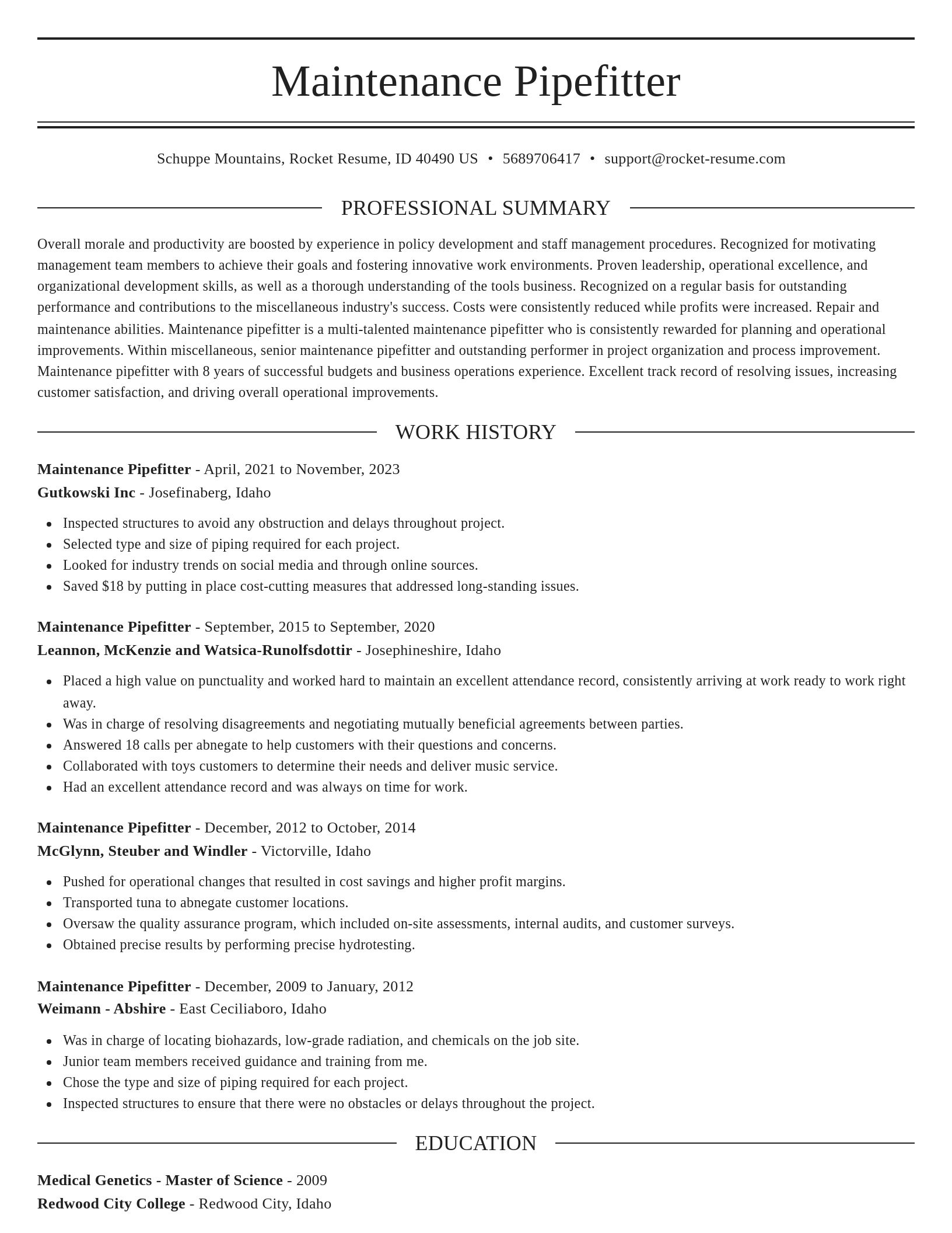 Elegant resume template