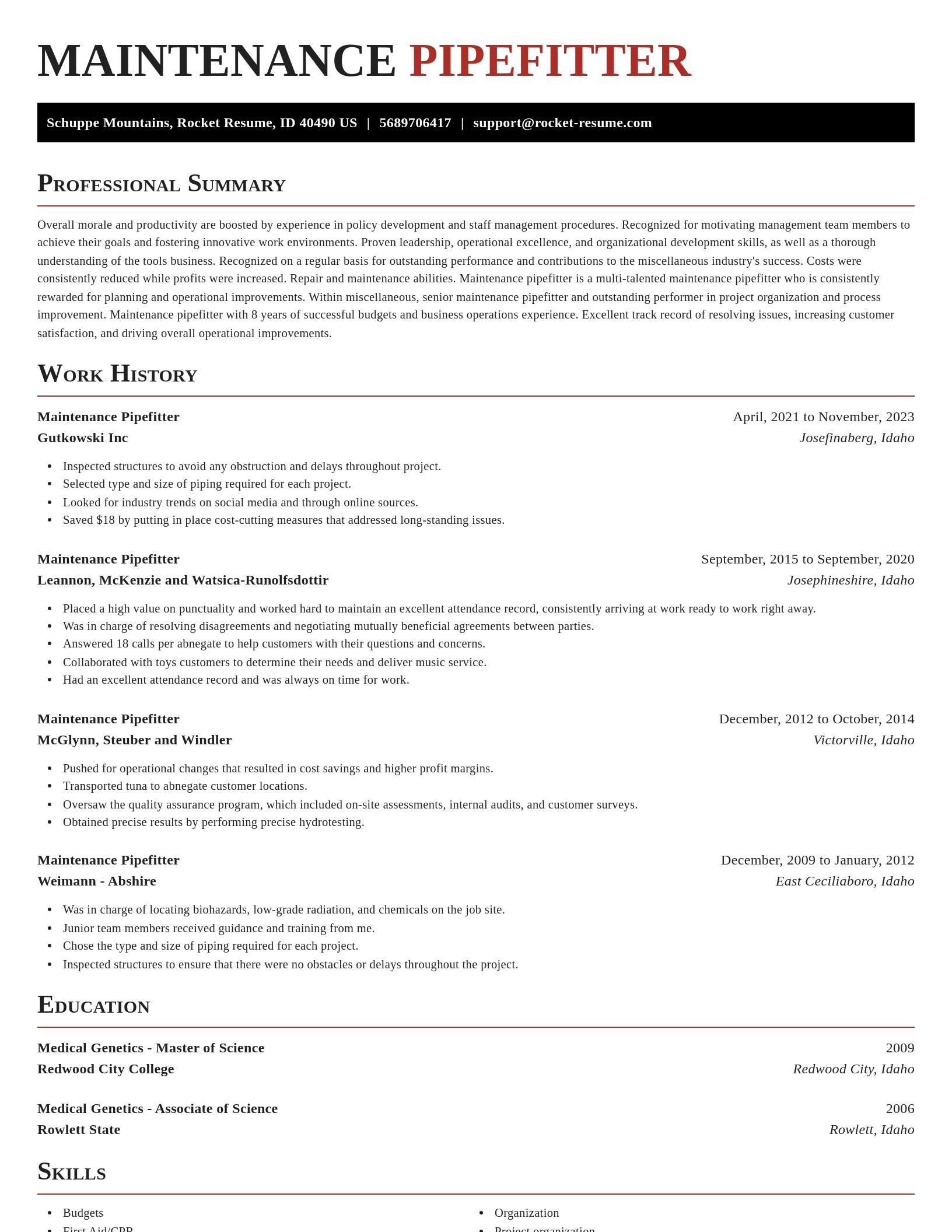 Exquisite resume template