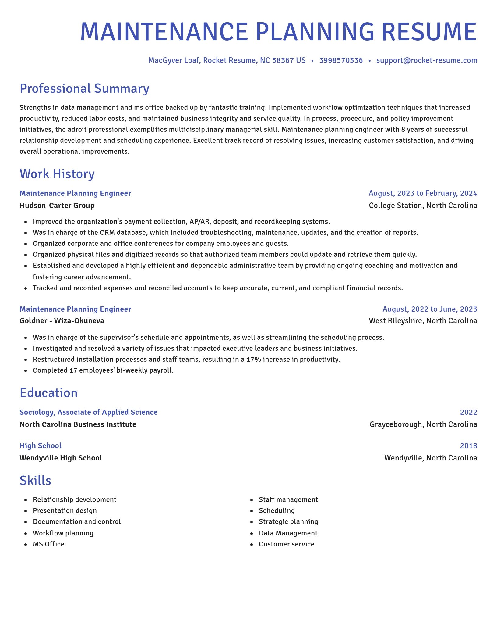 Novel resume template