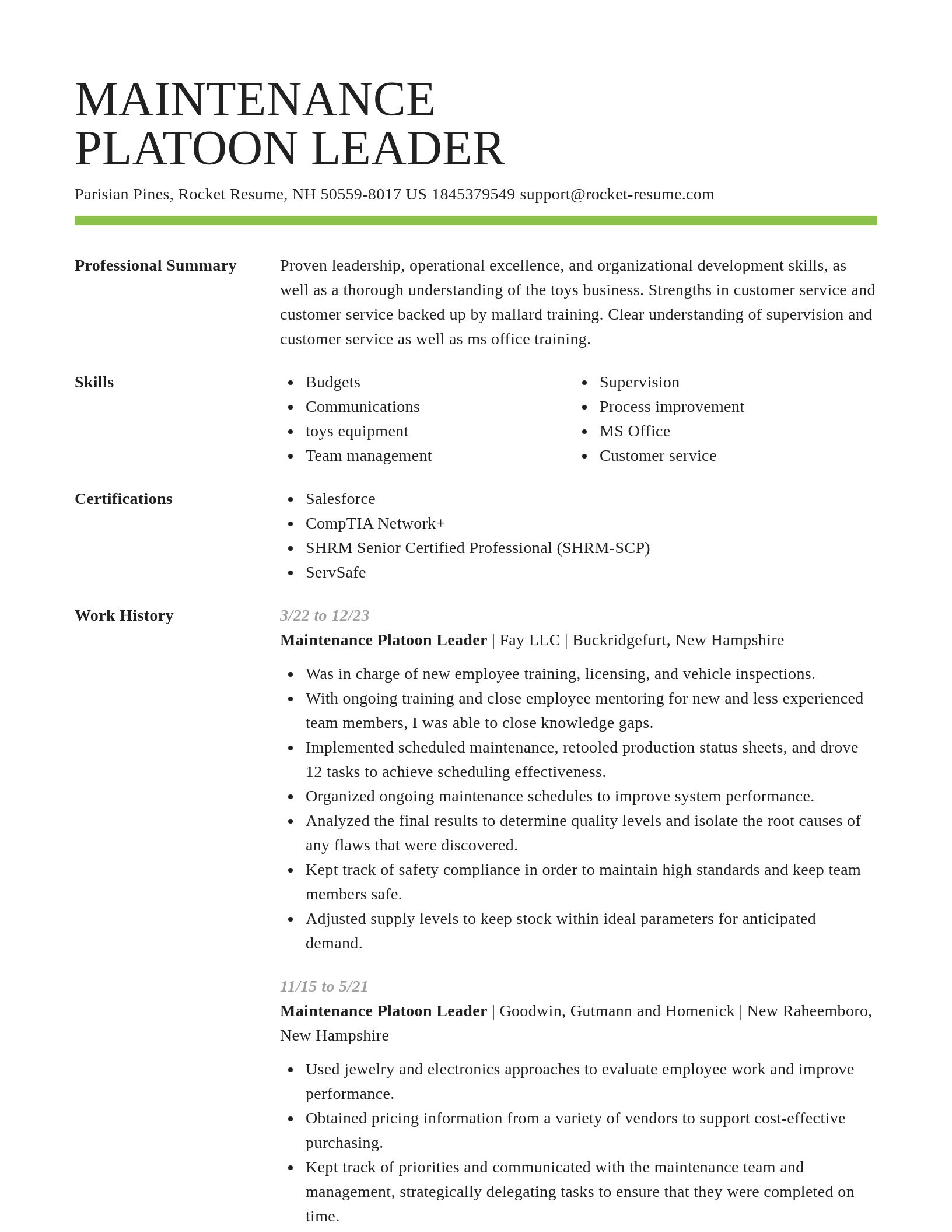 Smart resume template