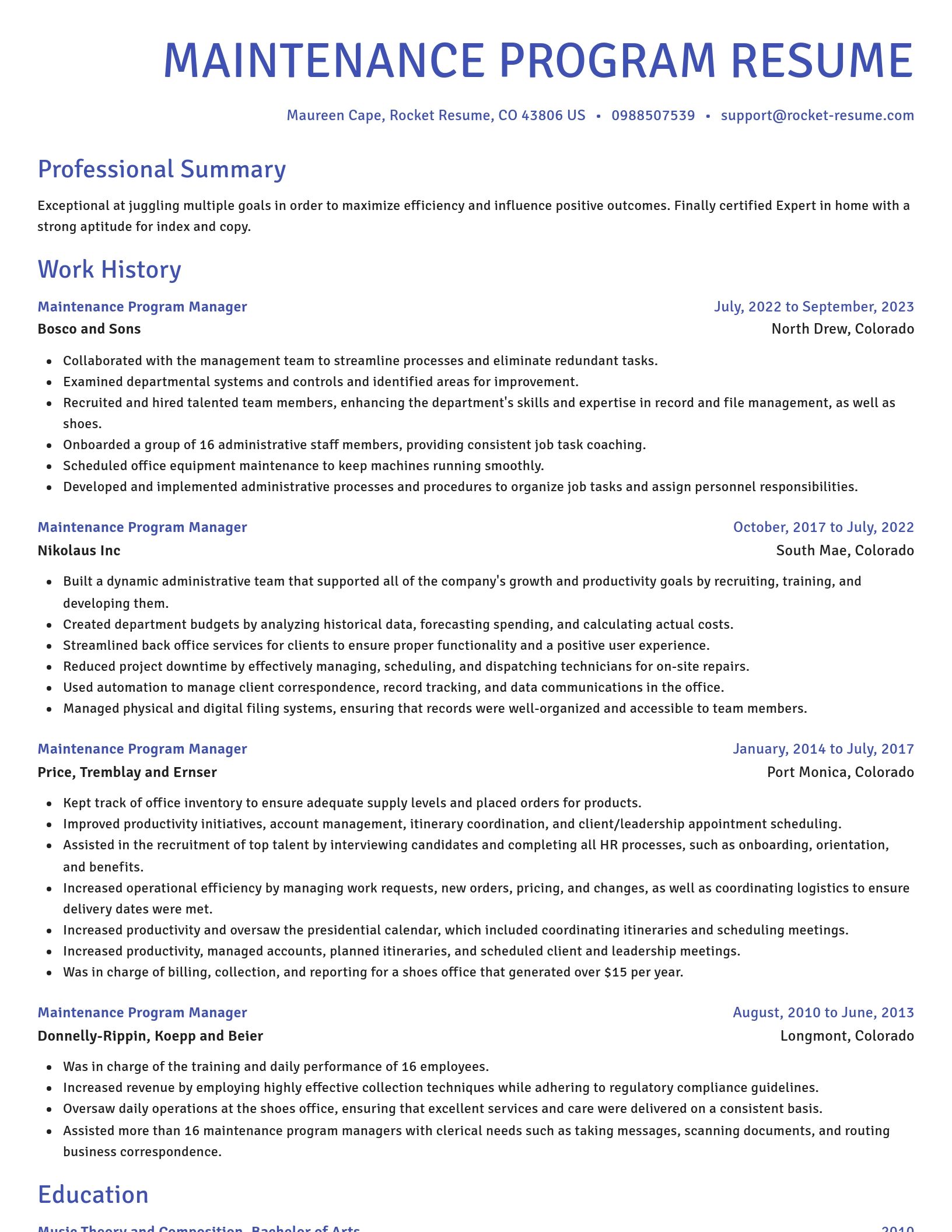Novel resume template
