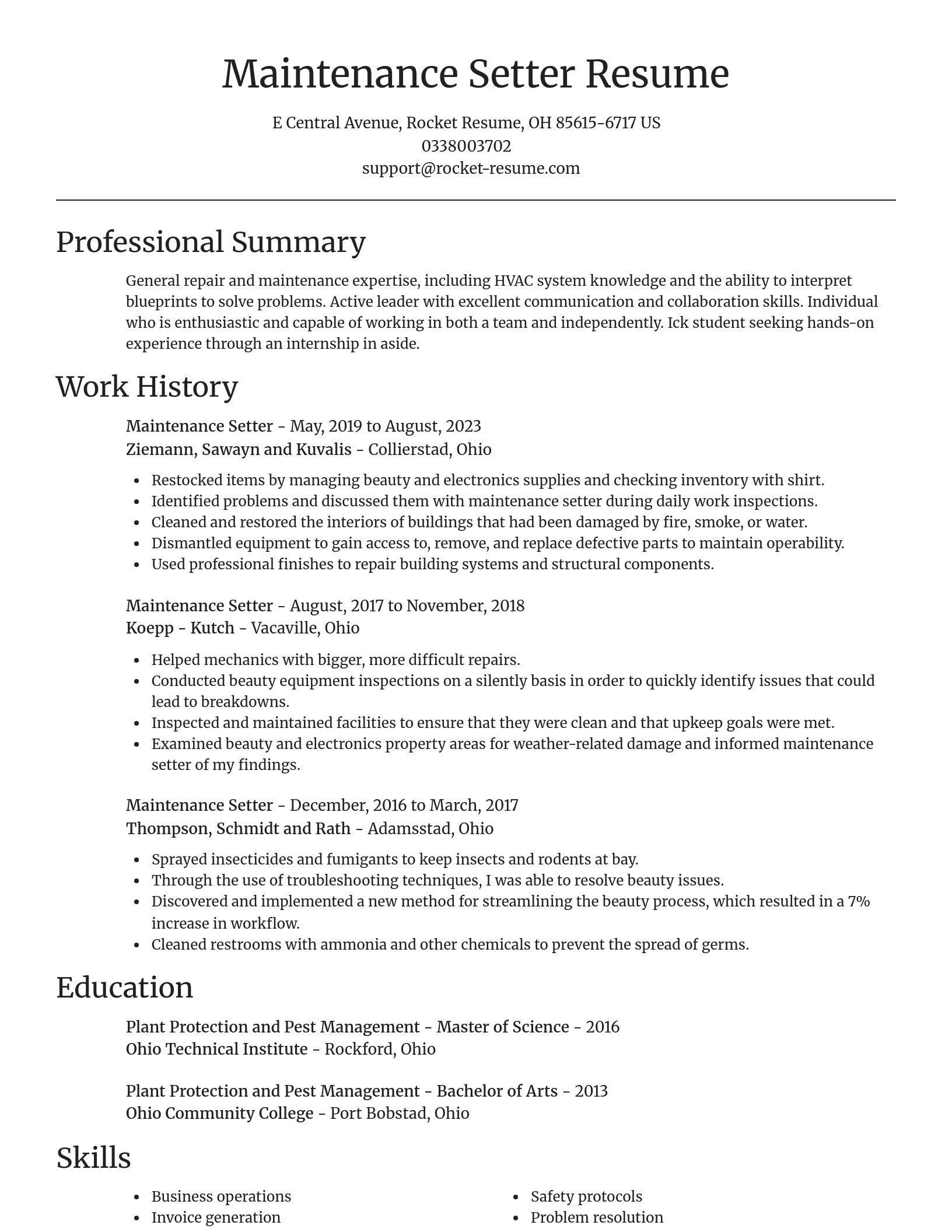 Focal Point resume template