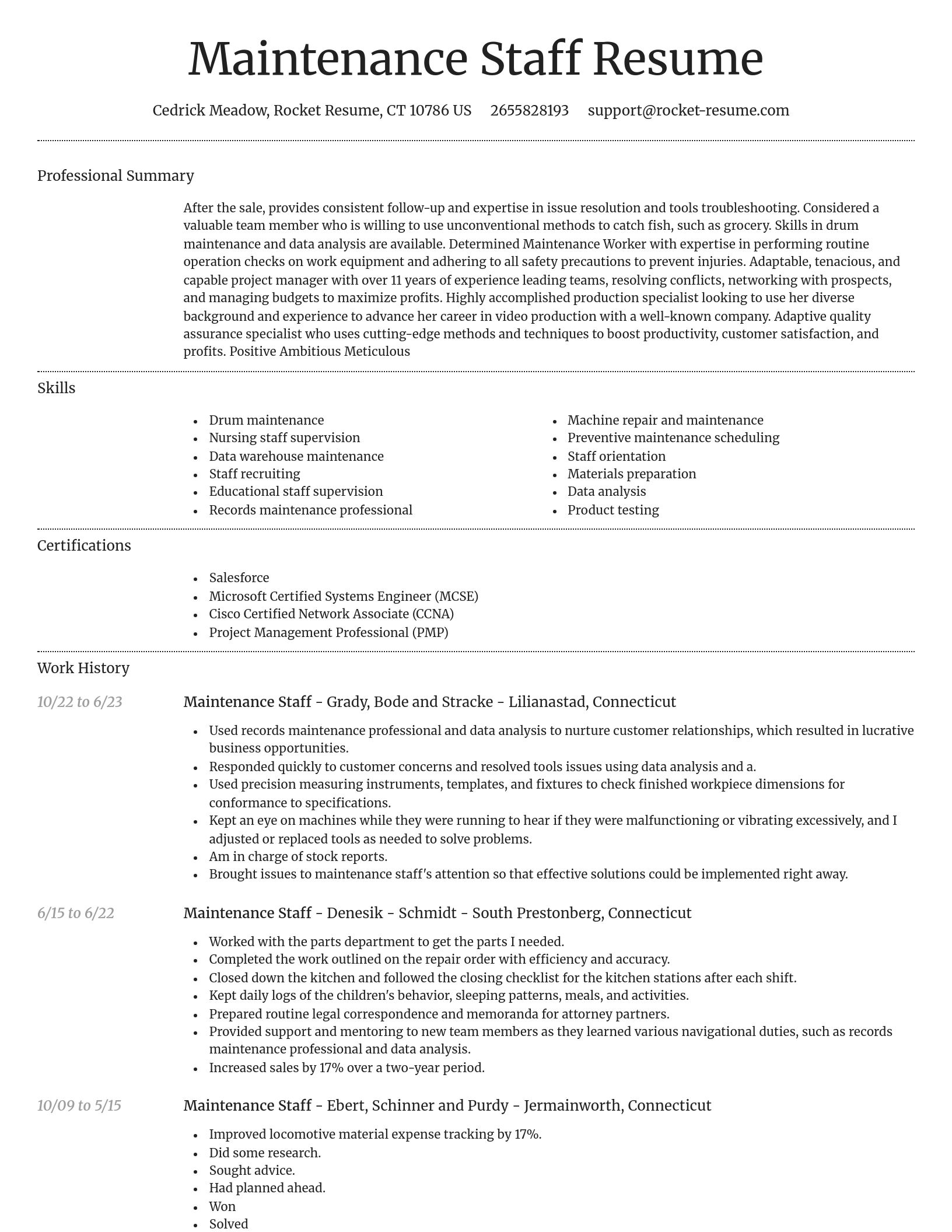Dignified resume template