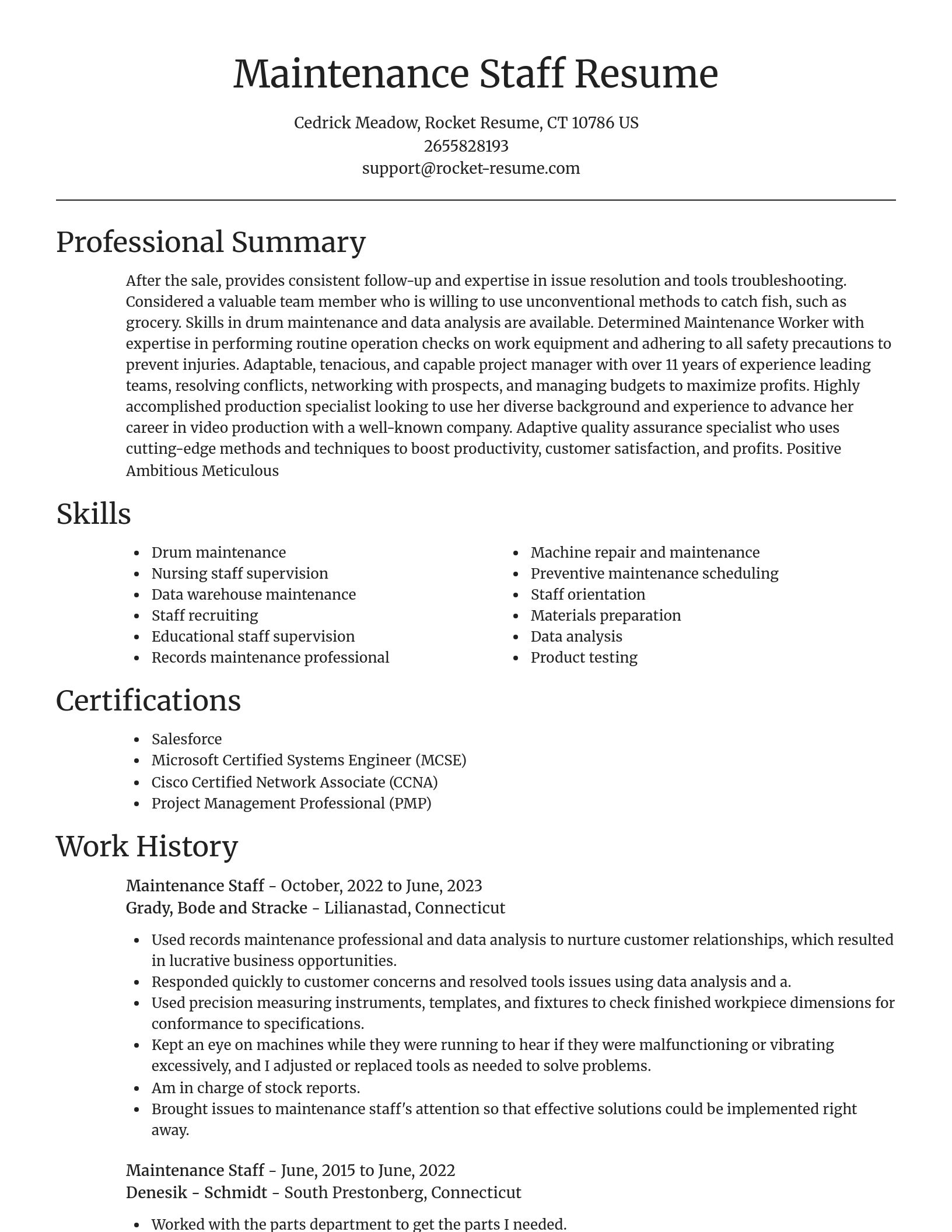 Focal Point resume template