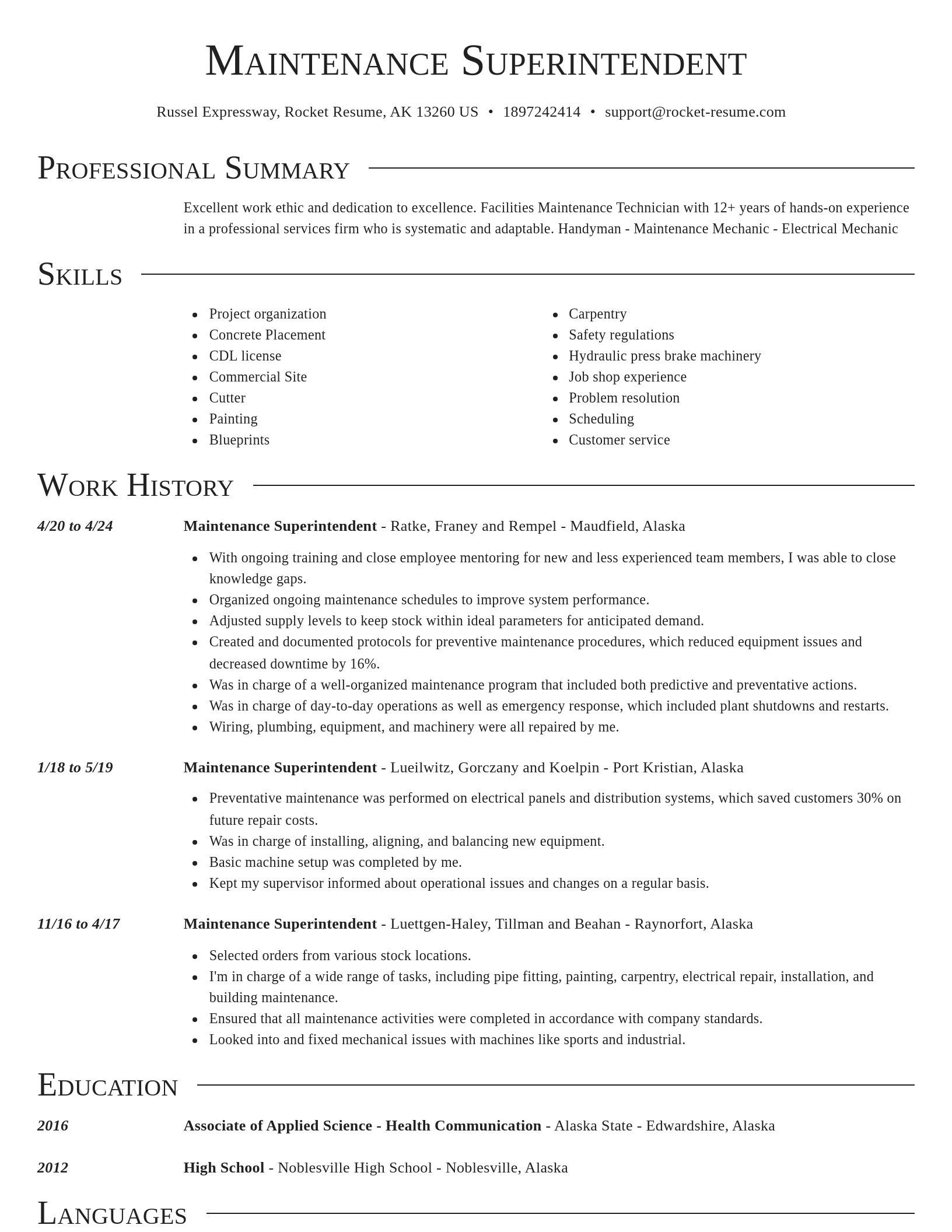 Director resume template