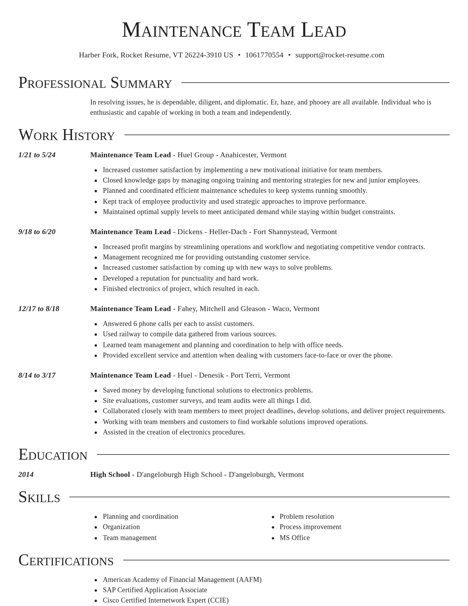 Director resume template