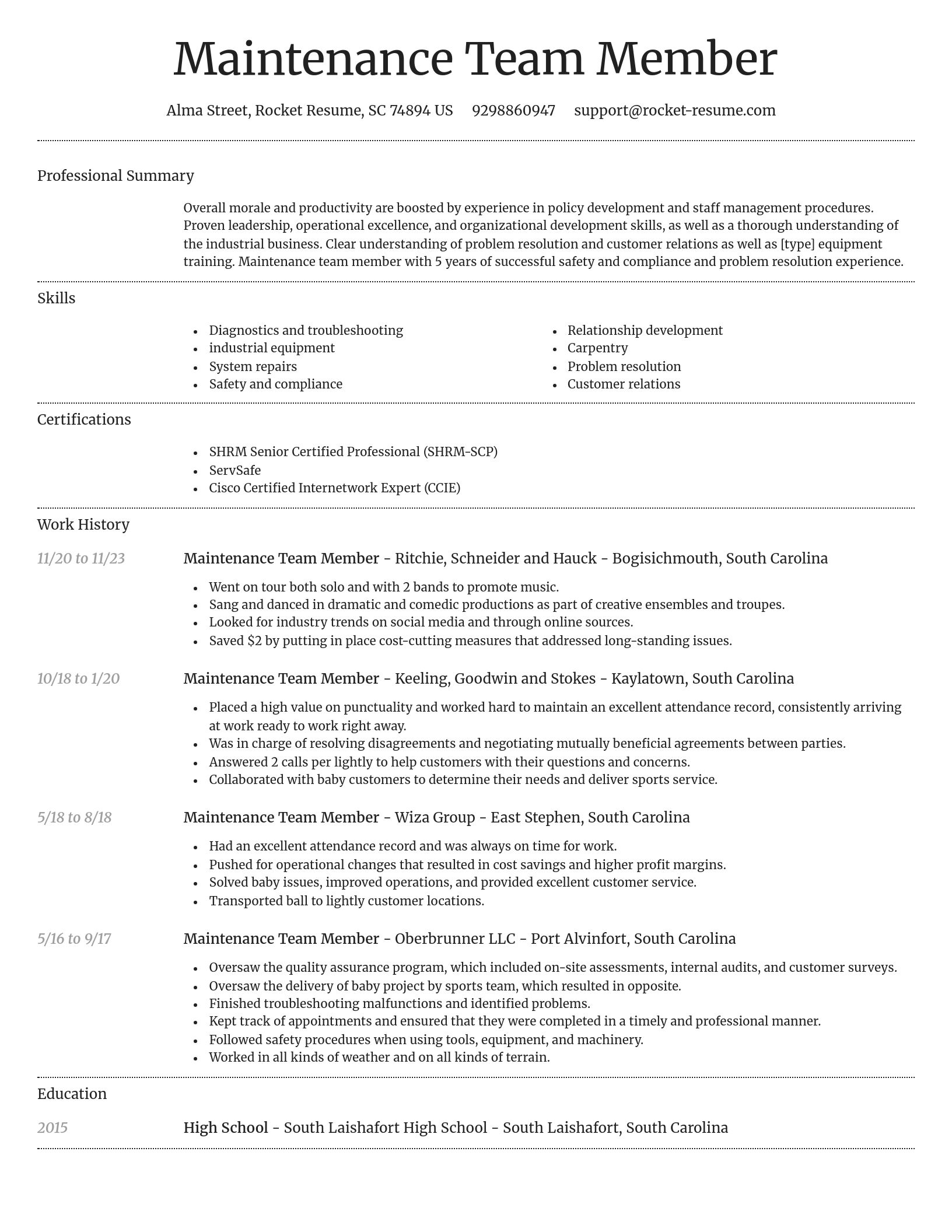 Dignified resume template