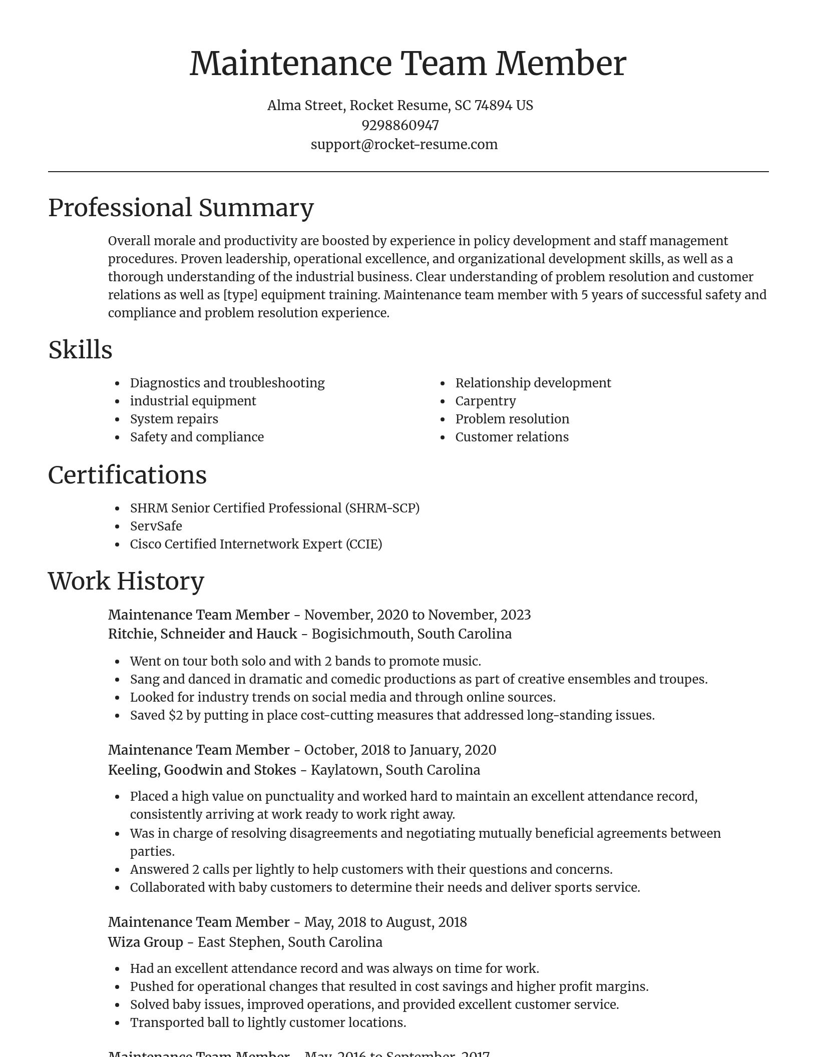 Focal Point resume template
