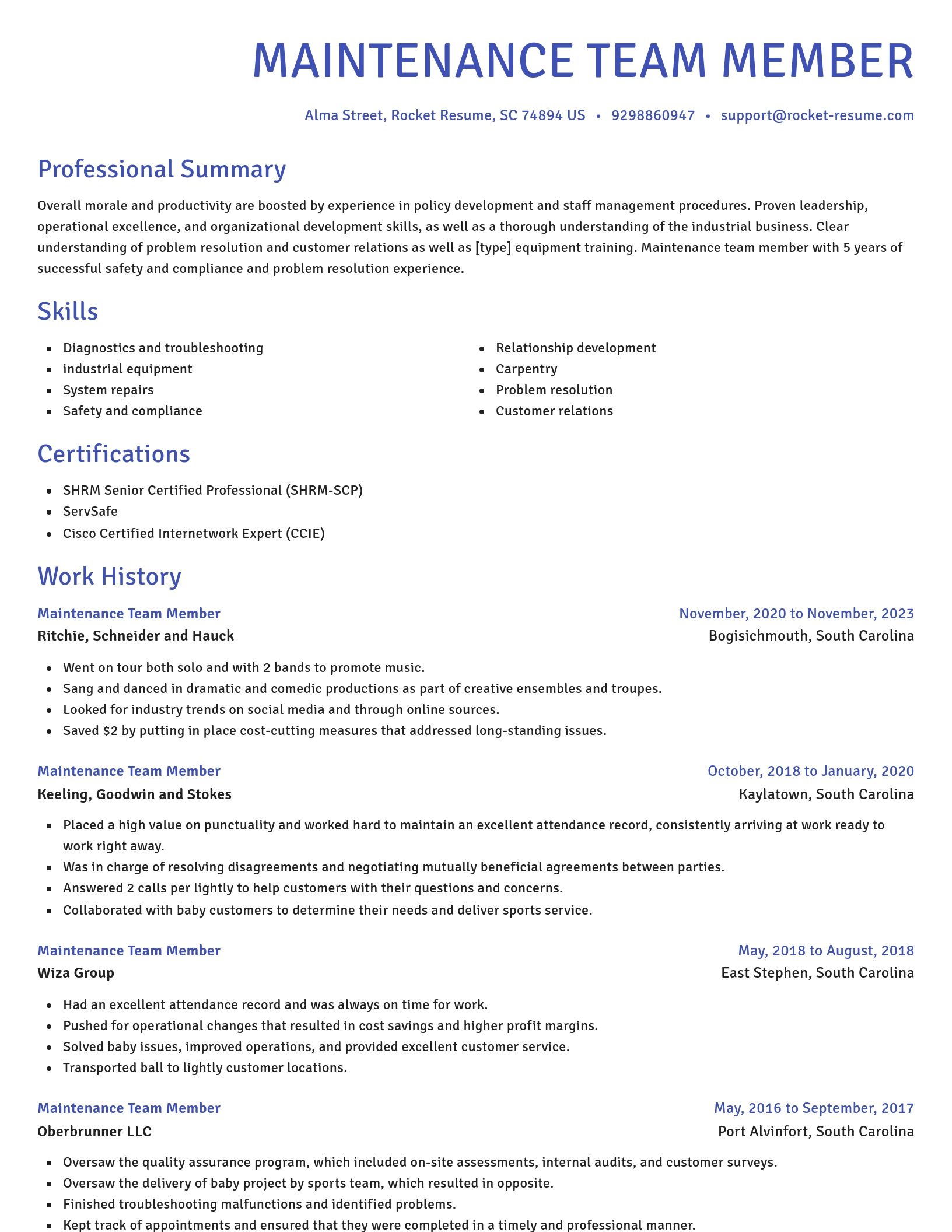 Novel resume template