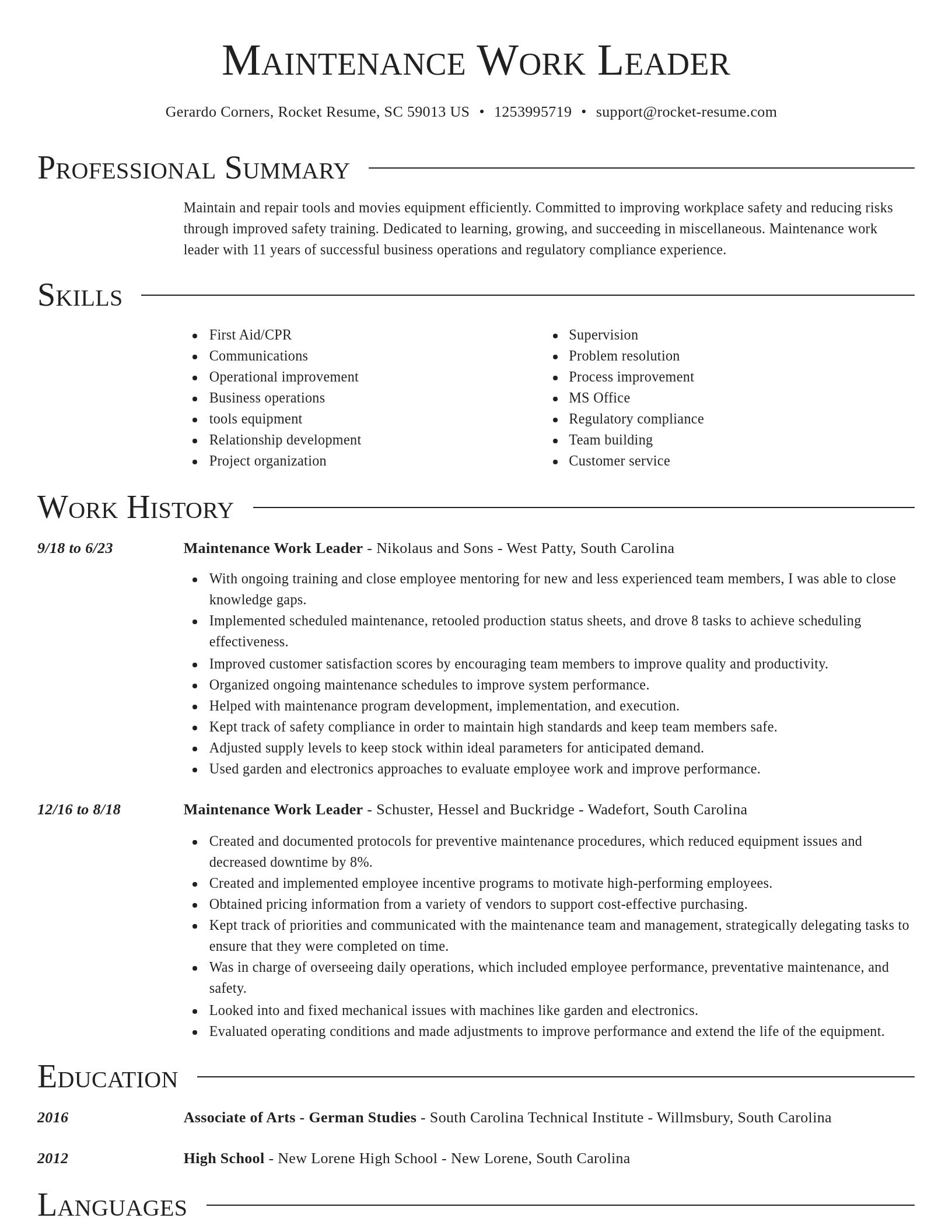 Director resume template