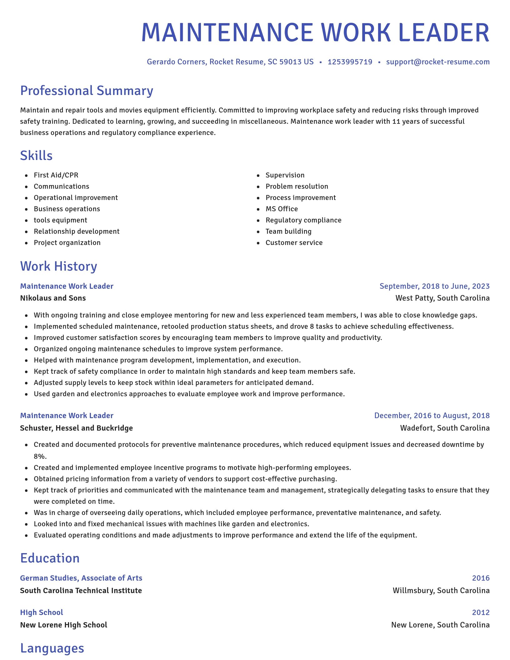 Novel resume template
