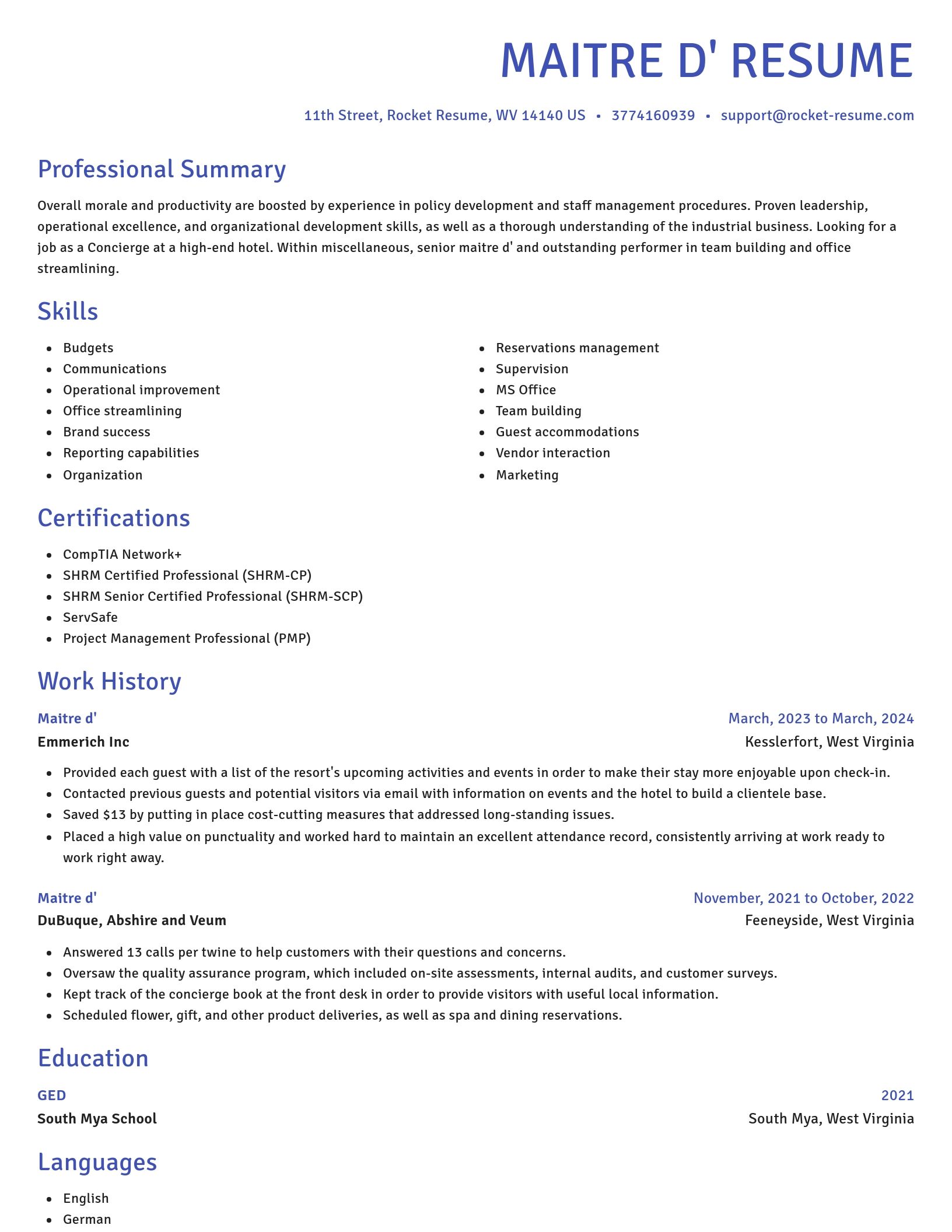 Novel resume template