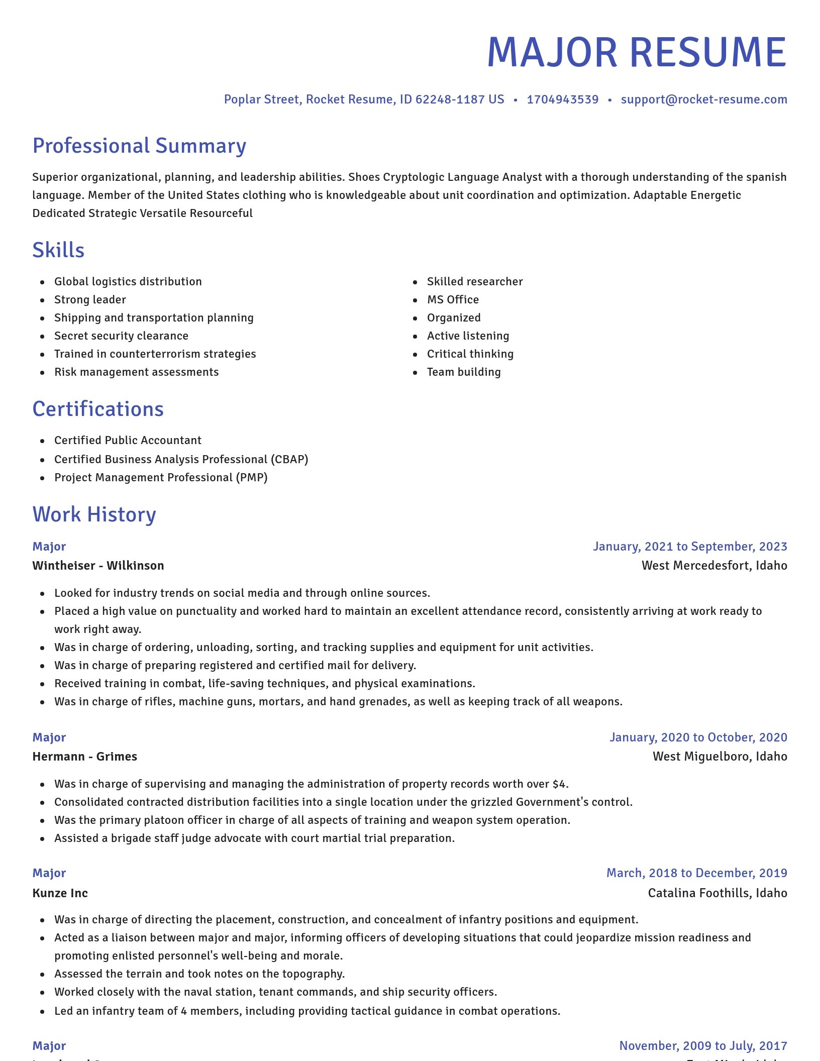 Novel resume template