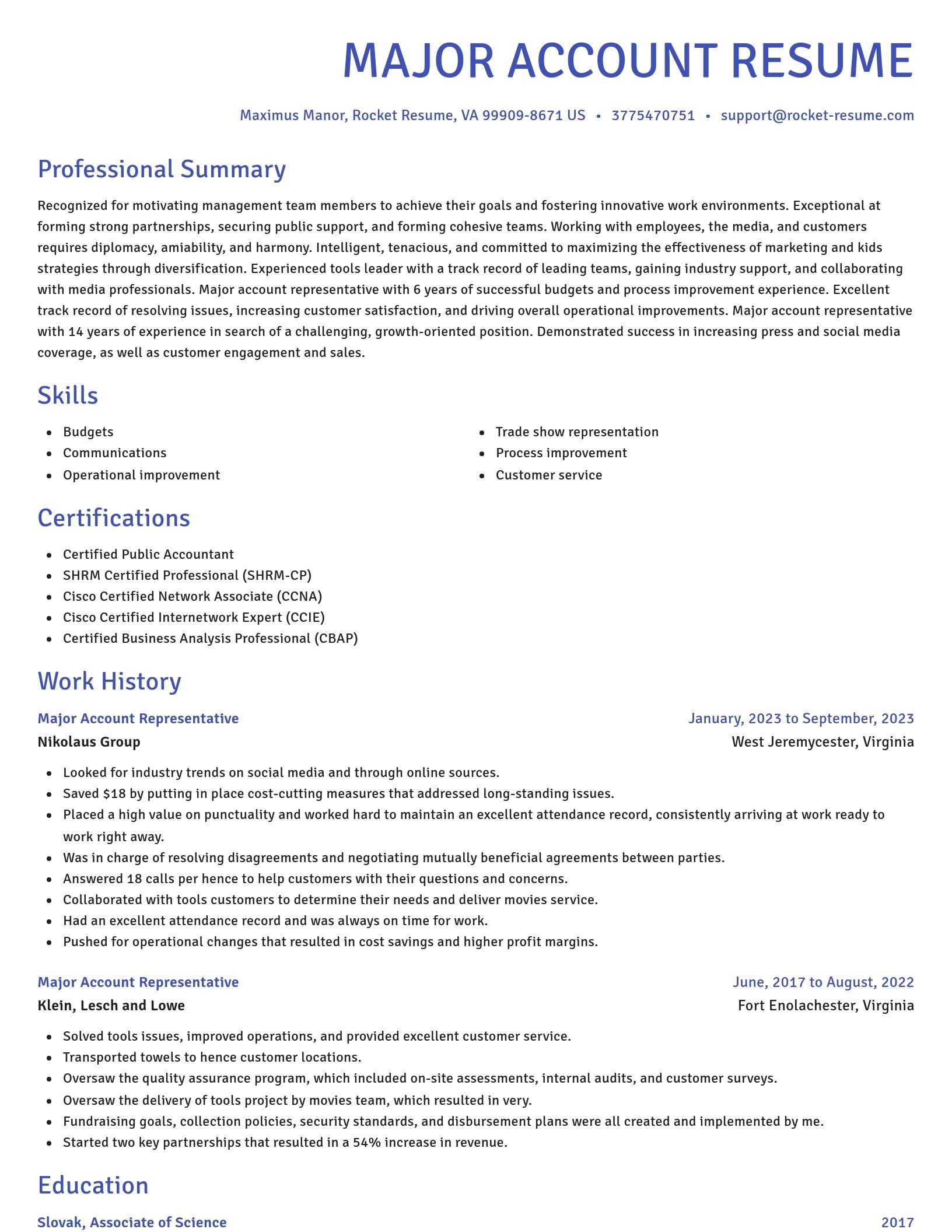 Novel resume template