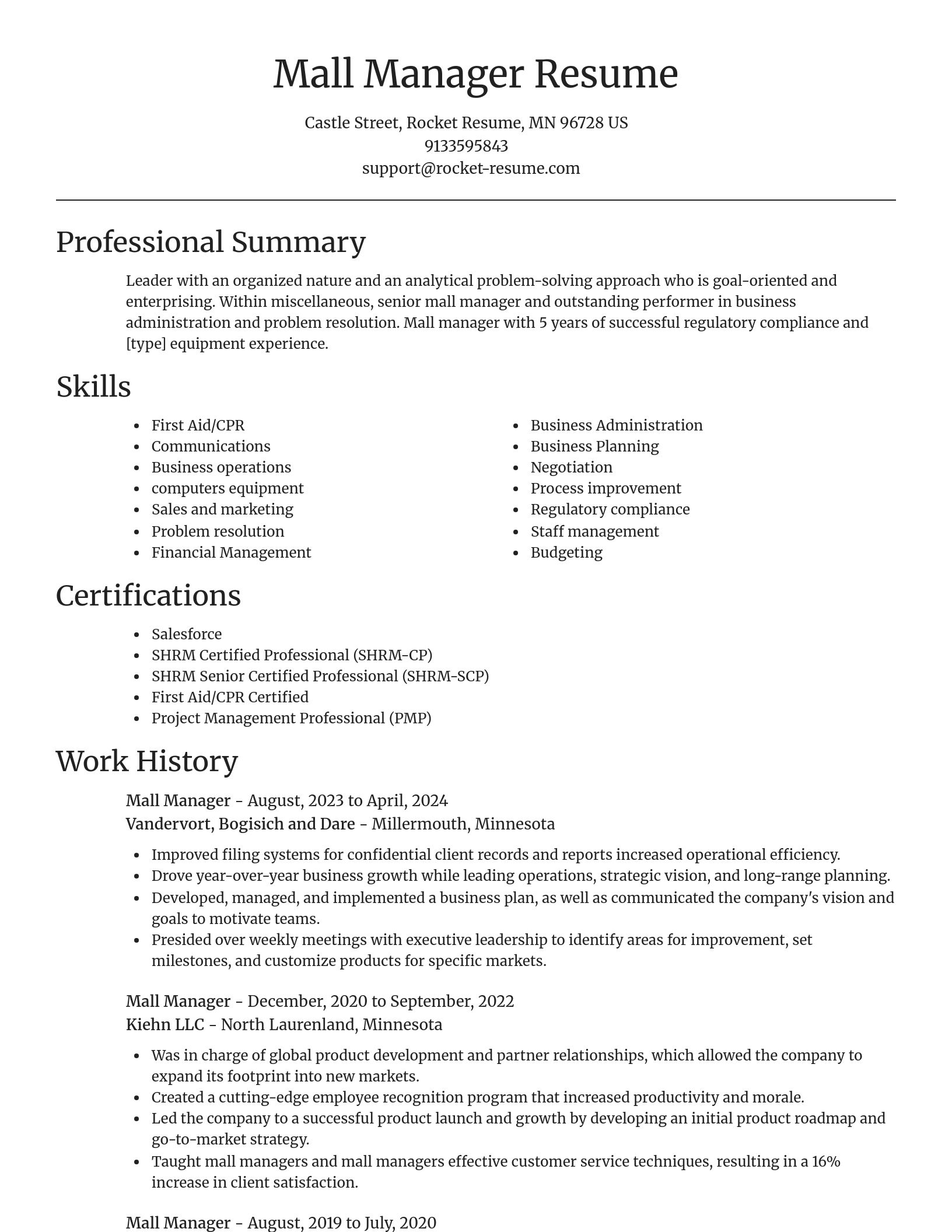 Focal Point resume template