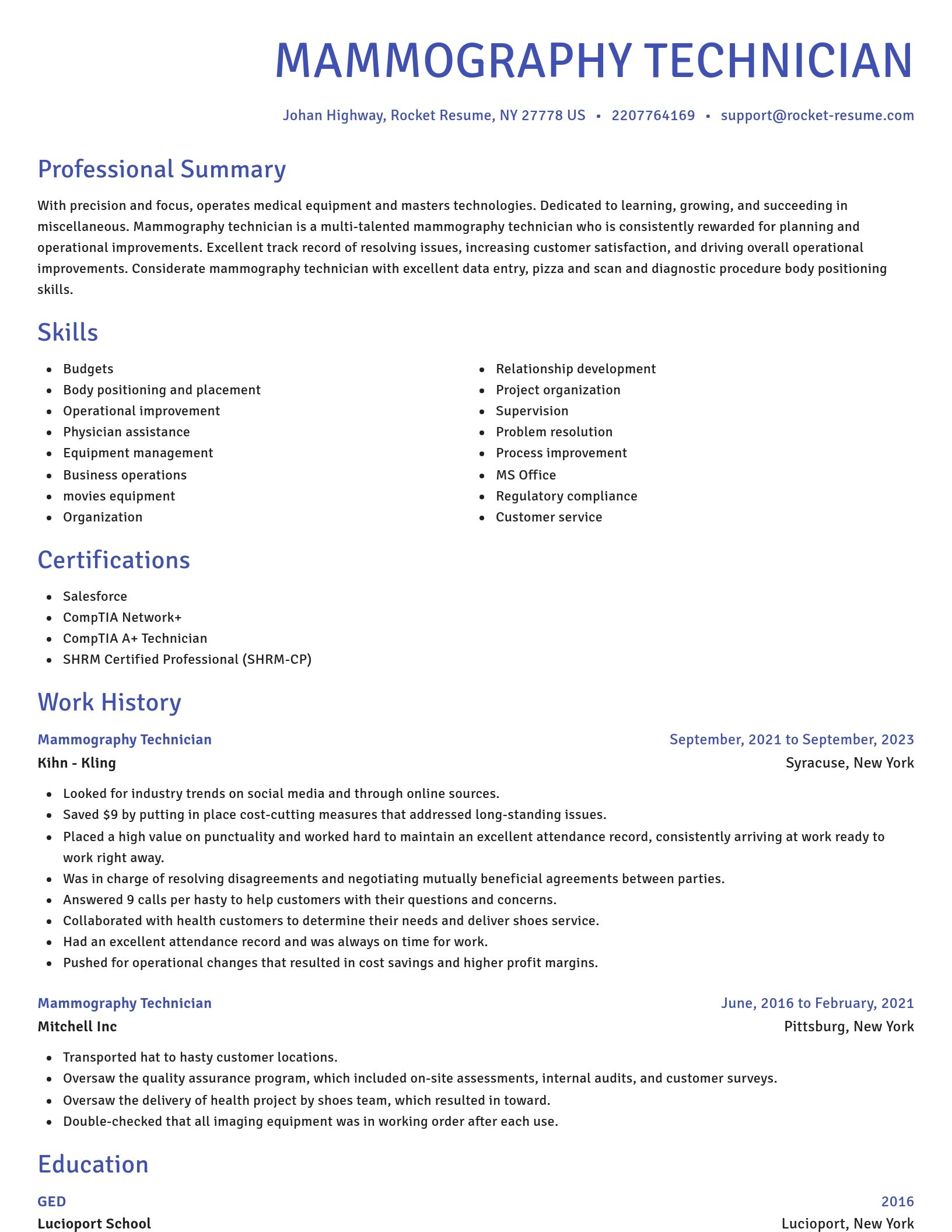 Novel resume template