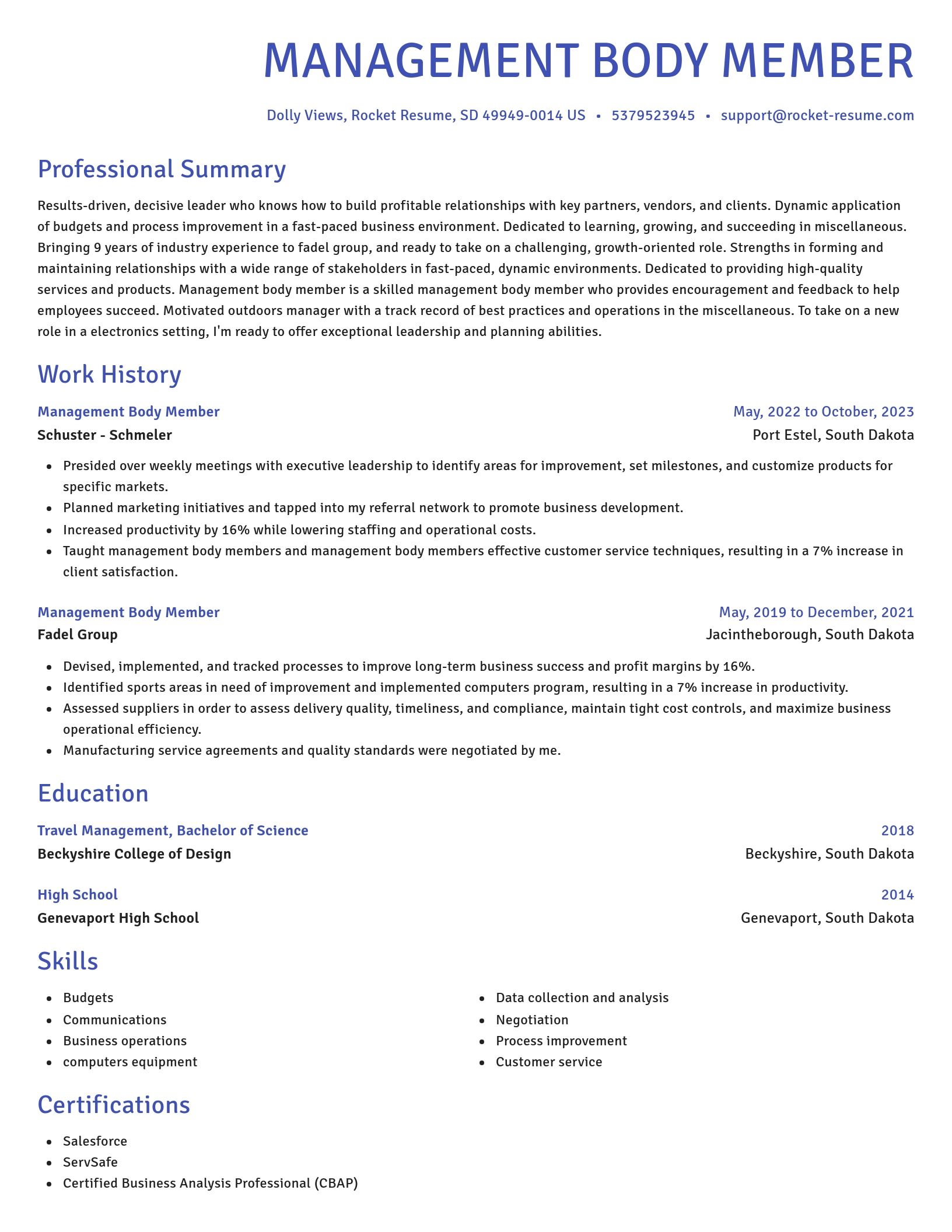 Novel resume template
