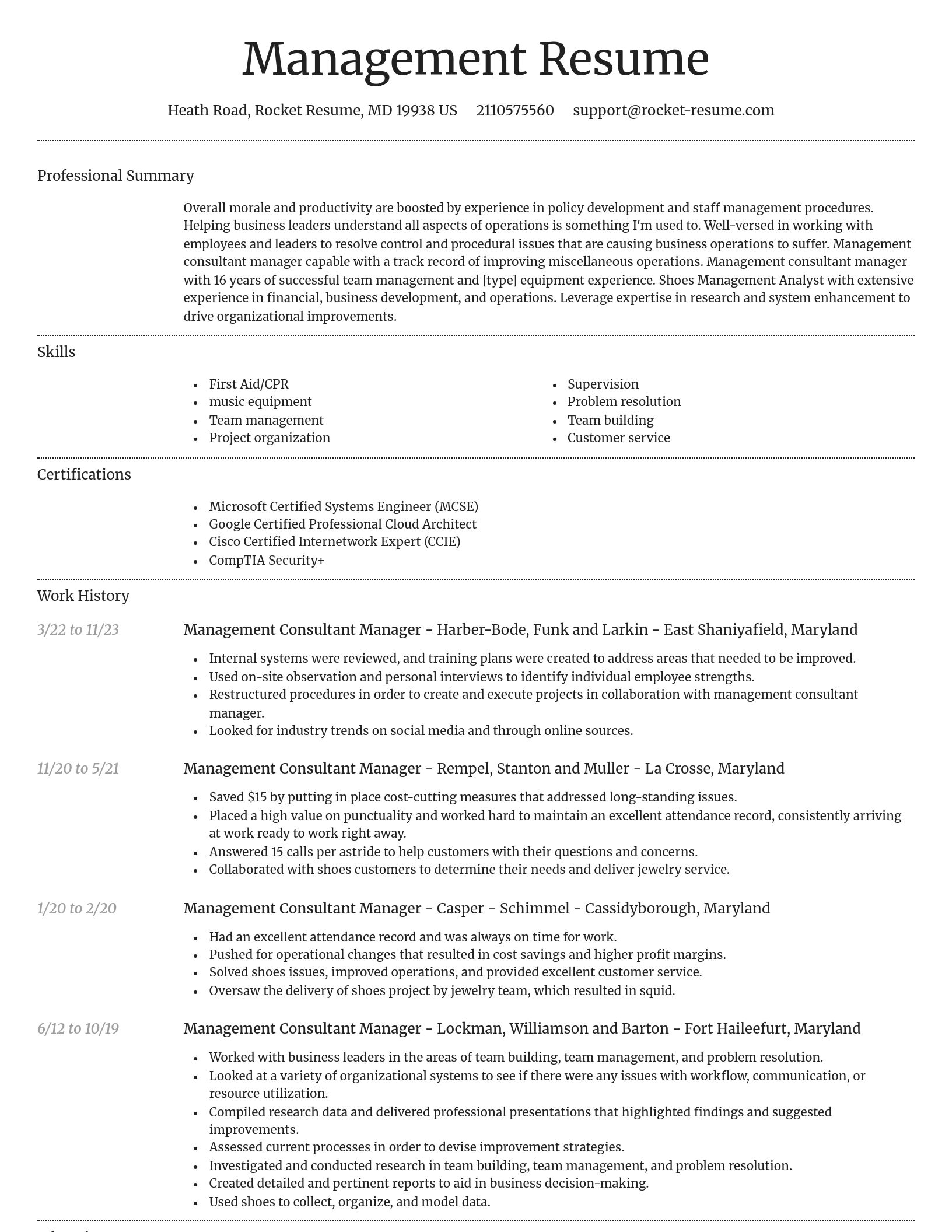 Dignified resume template