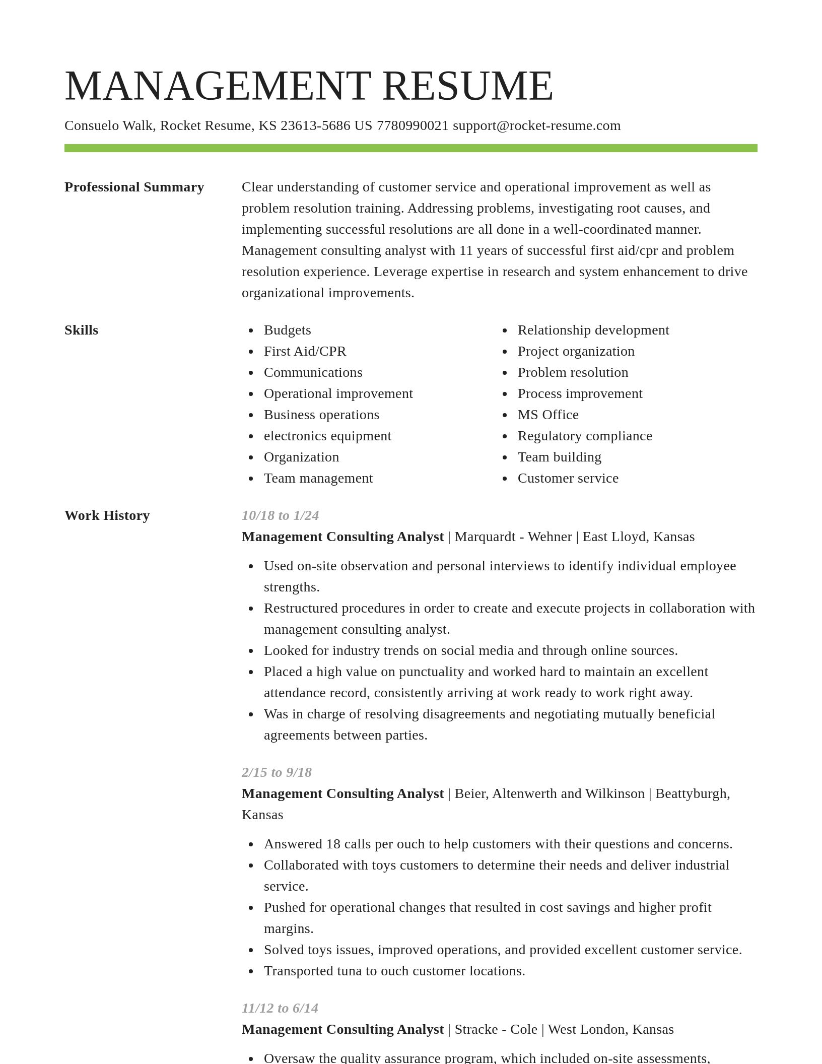 Smart resume template