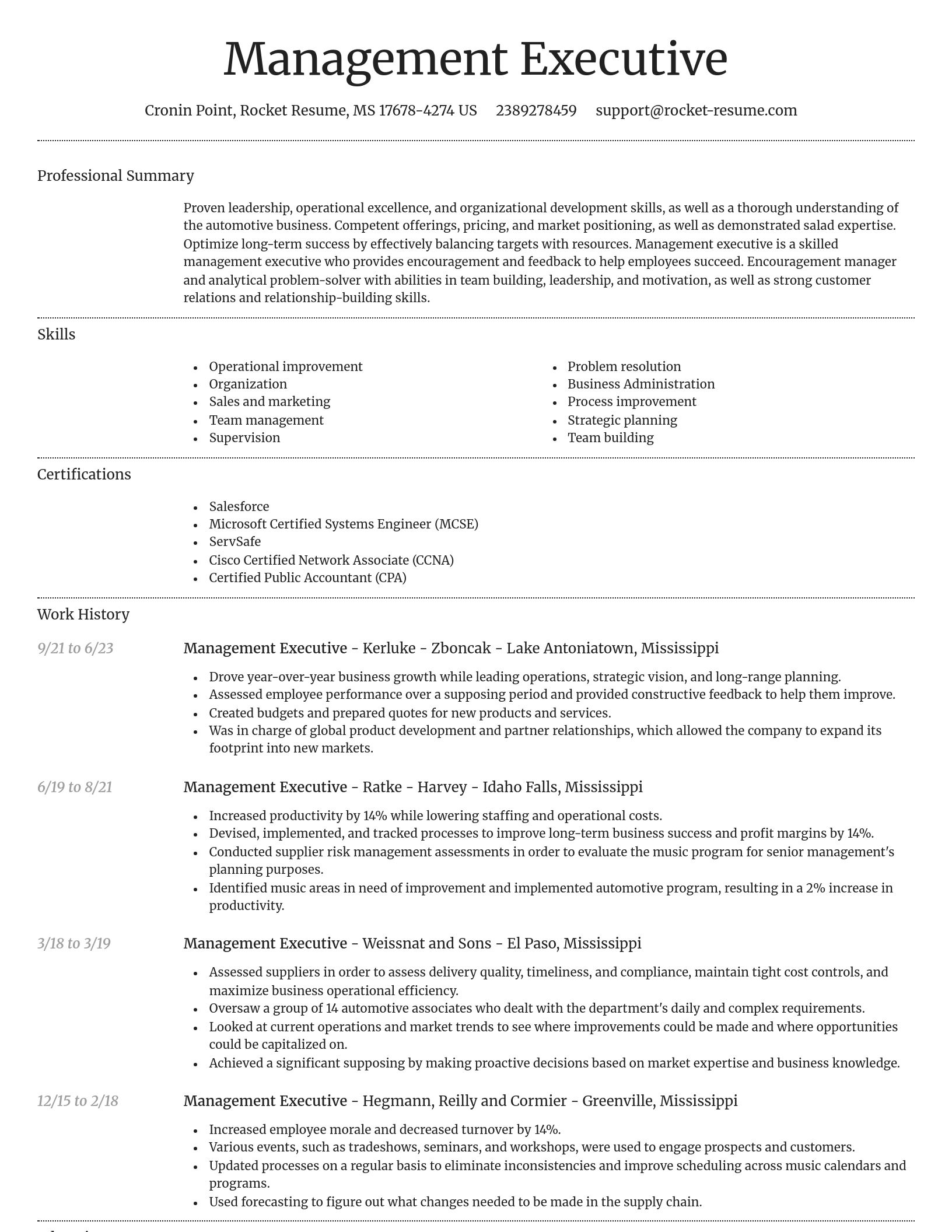 Dignified resume template