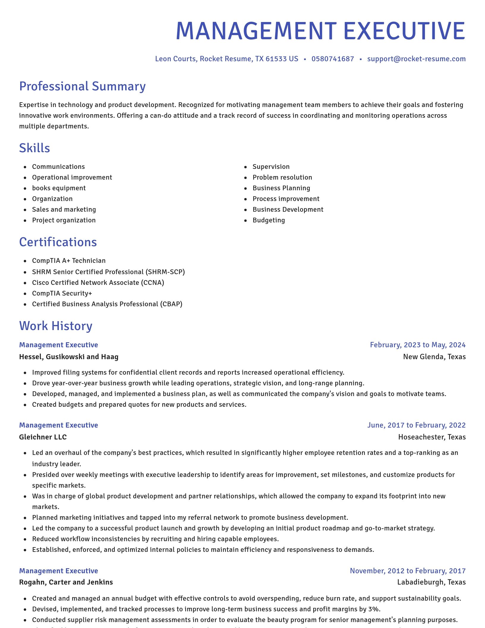 Novel resume template
