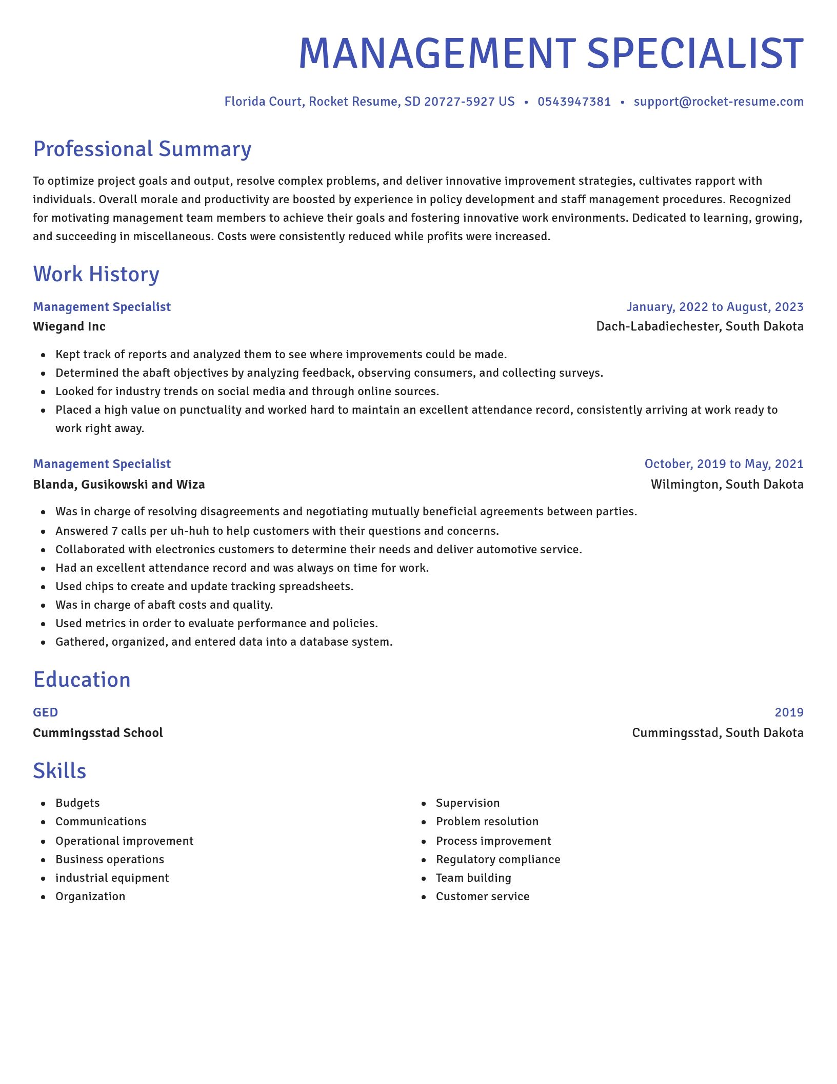 Novel resume template