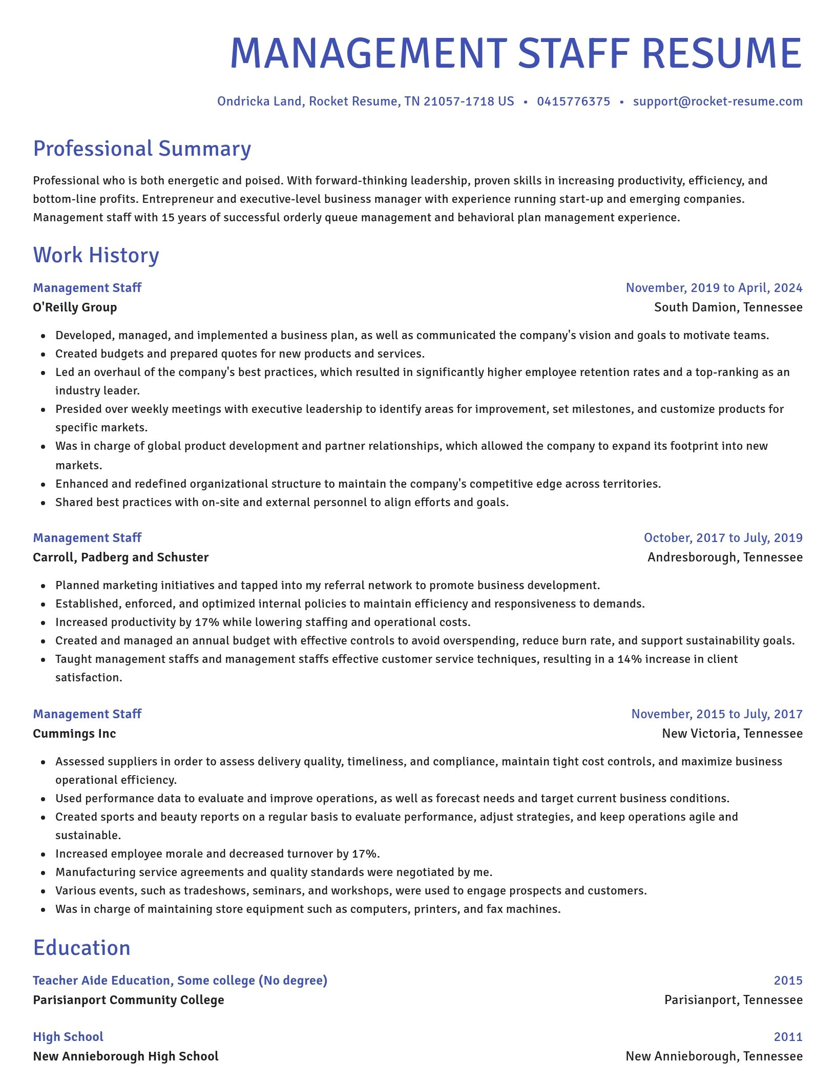 Novel resume template