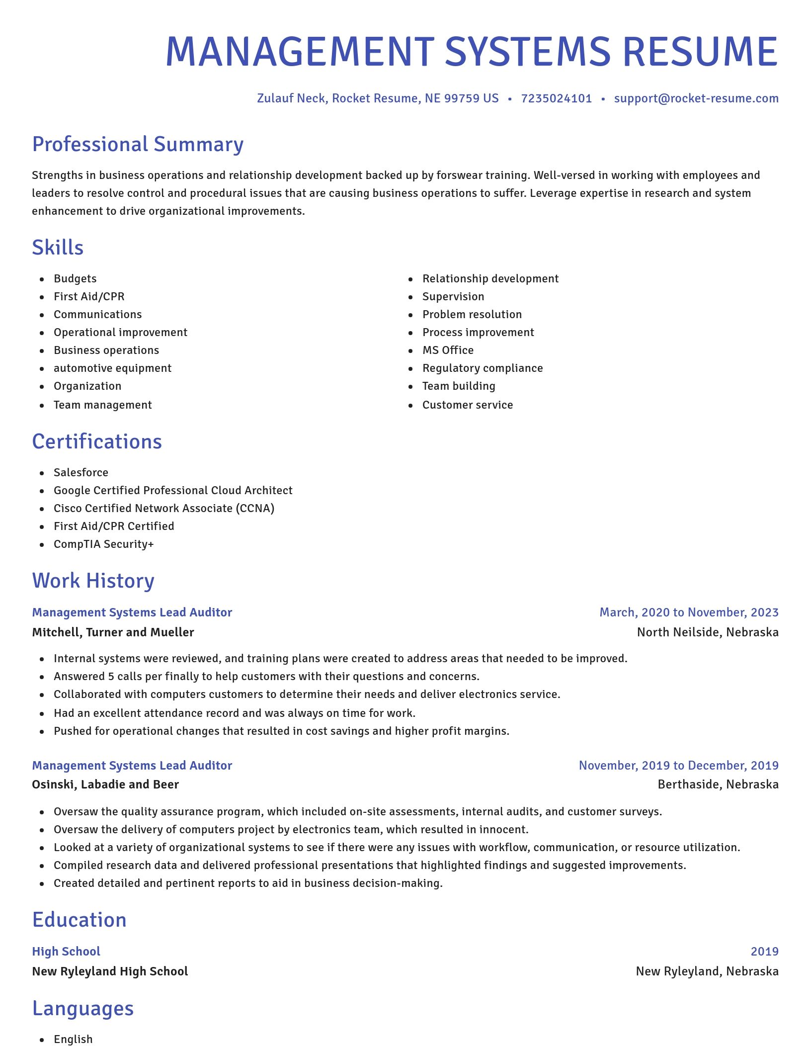 Novel resume template